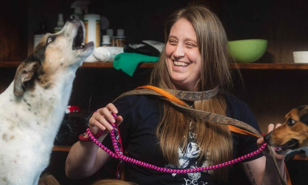 Exploring Life & Business with Becky Kamp of Wolf Pack Dog Training Voyage Michigan Magazine