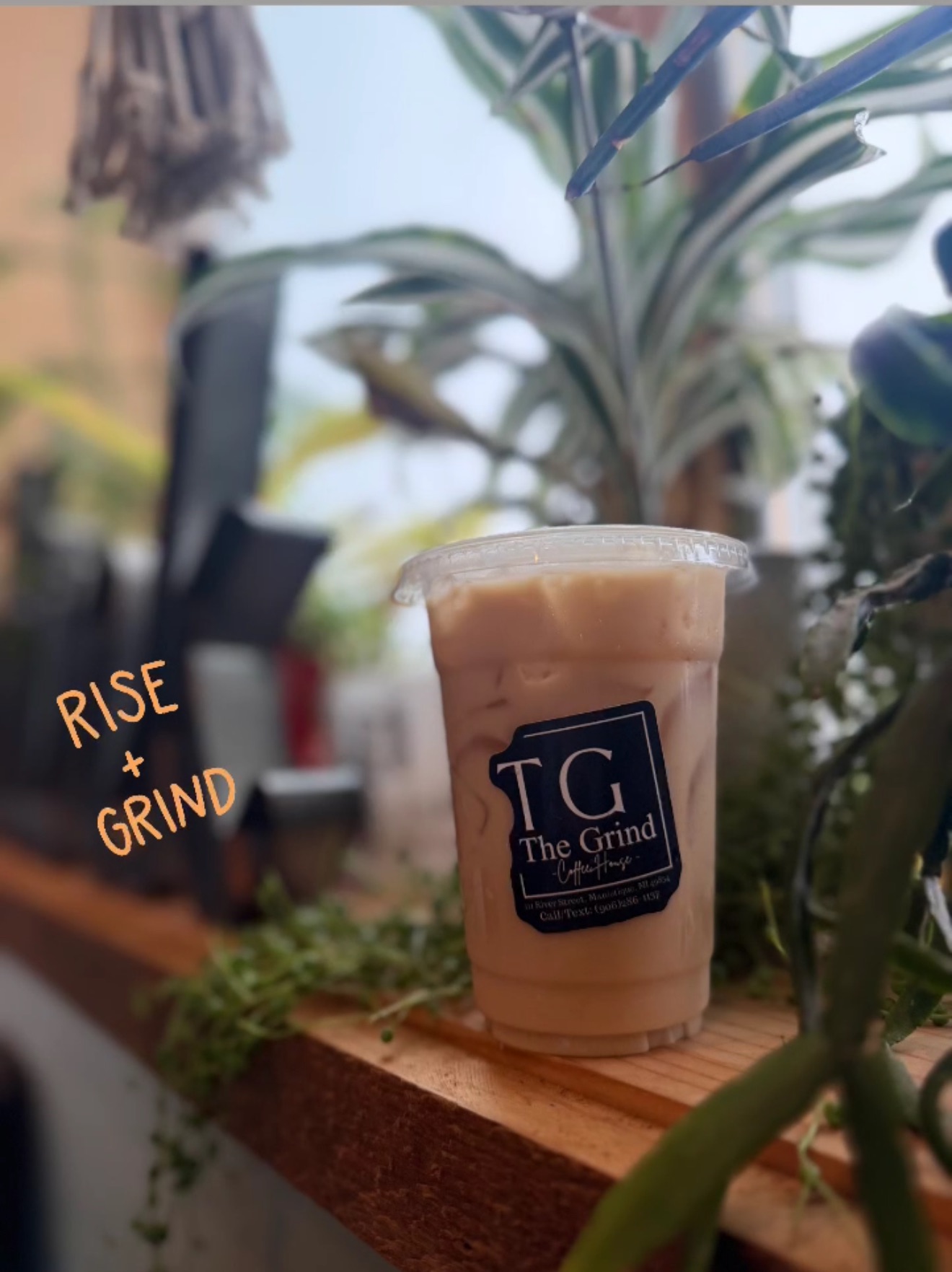 Iced coffee in a plastic cup with a black label, placed on a wooden surface with plants in the background.