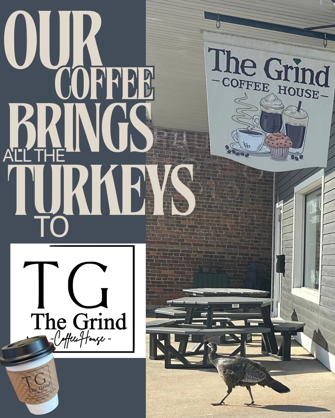 Outdoor seating area with picnic tables and a turkey walking nearby, sign for The Grind Coffee House on building wall.