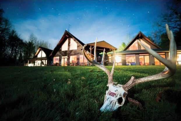 Nighttime scene with illuminated houses and a large deer skull with antlers on the grass in foreground.