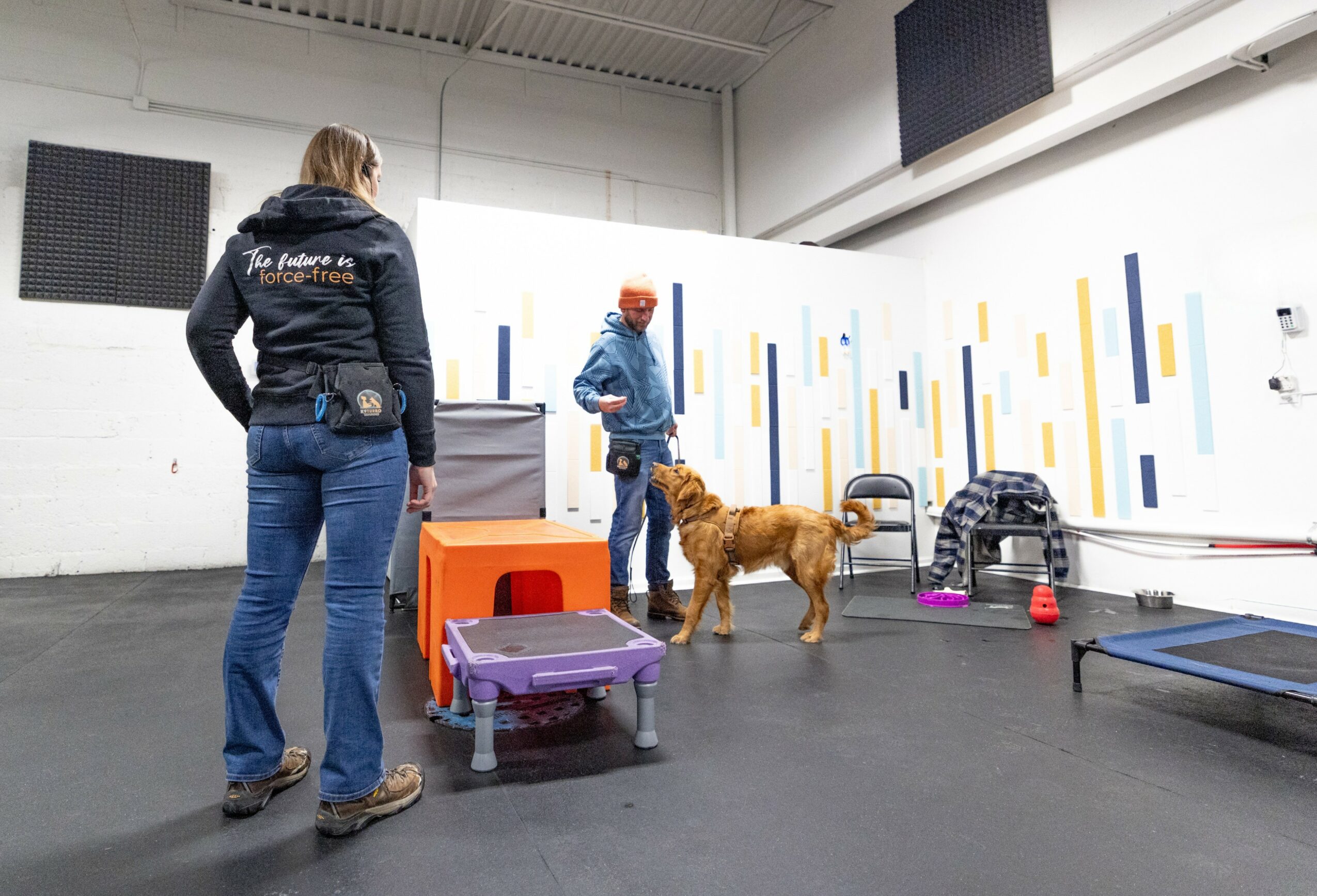 Two people and a dog in an indoor training area with colorful wall patterns and equipment.