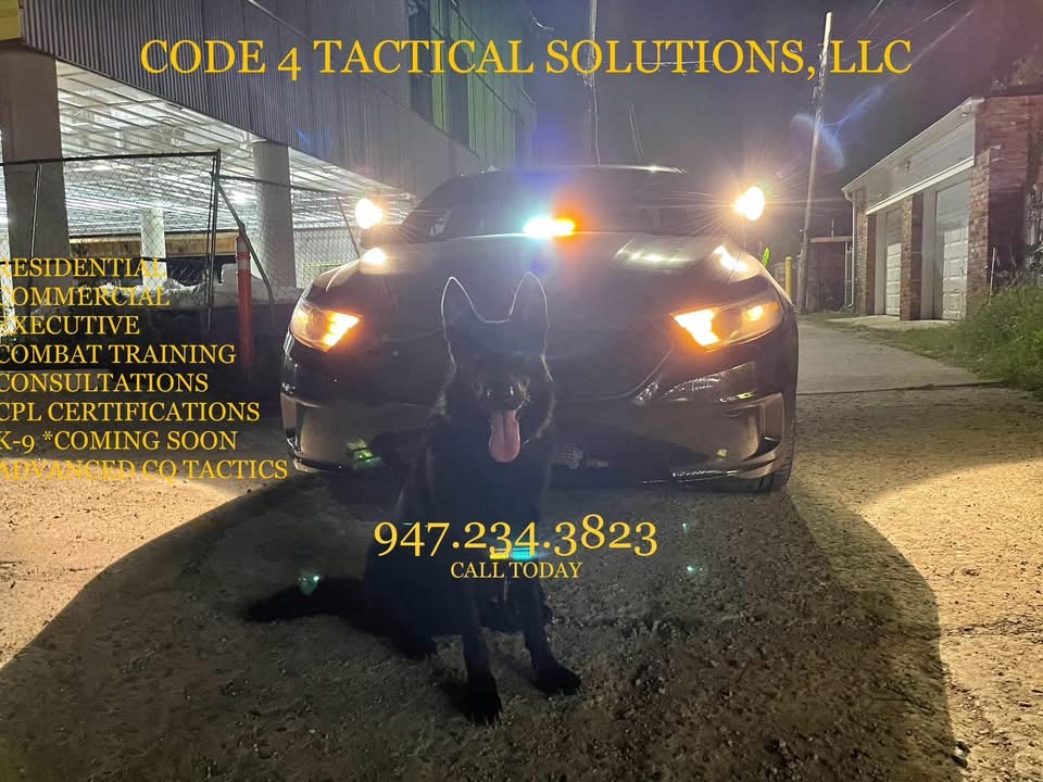 Black dog sitting in front of a car with headlights on at night, with a building and fence in background.