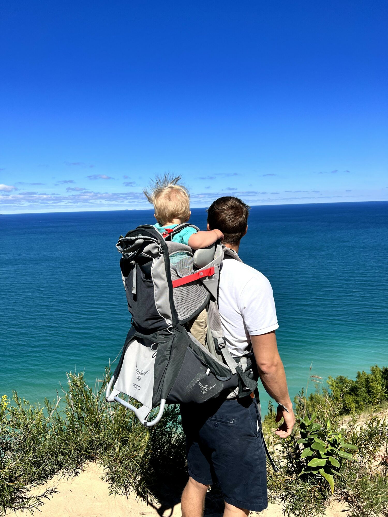 Adult carrying a child on shoulders near the ocean, blue sky and greenery in background.