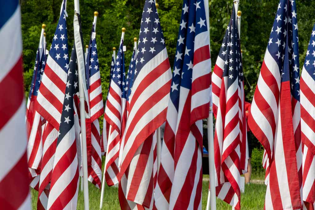 Multiple American flags on poles arranged outdoors with green trees in the background.