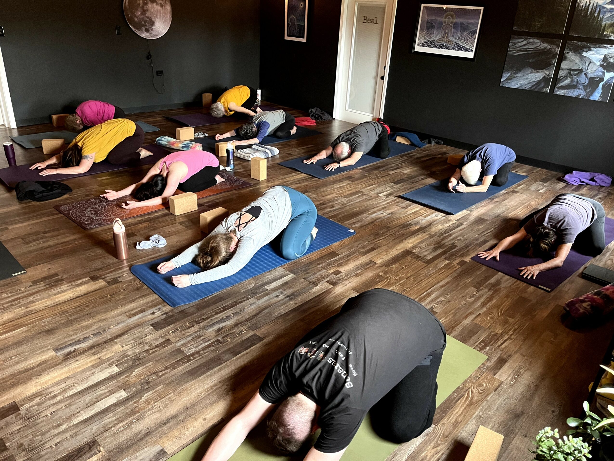 People practicing yoga in a studio, lying on mats with arms extended forward, in a downward dog pose.