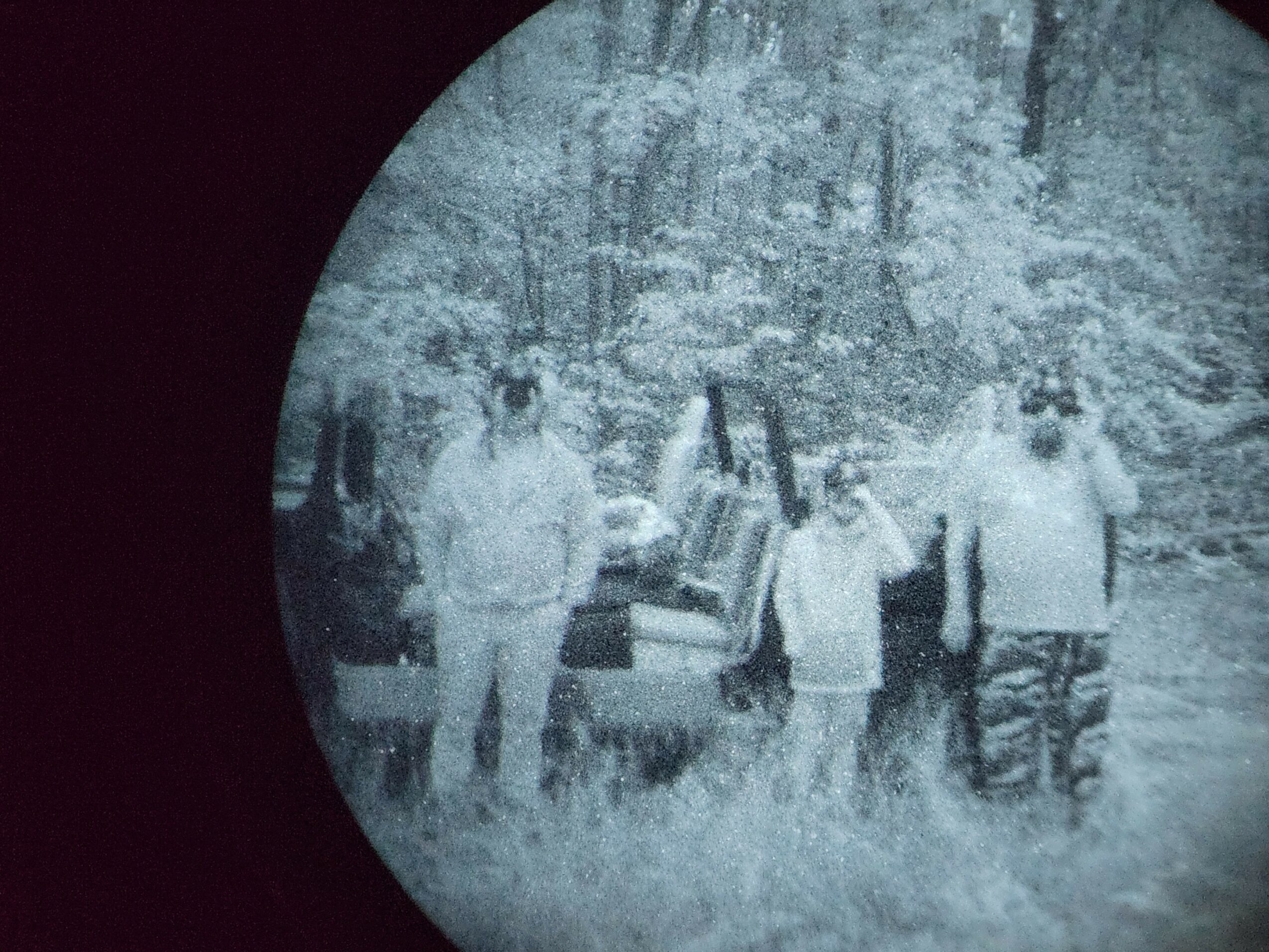 Four people standing outdoors near a vehicle in a wooded area, some holding objects, in black and white.