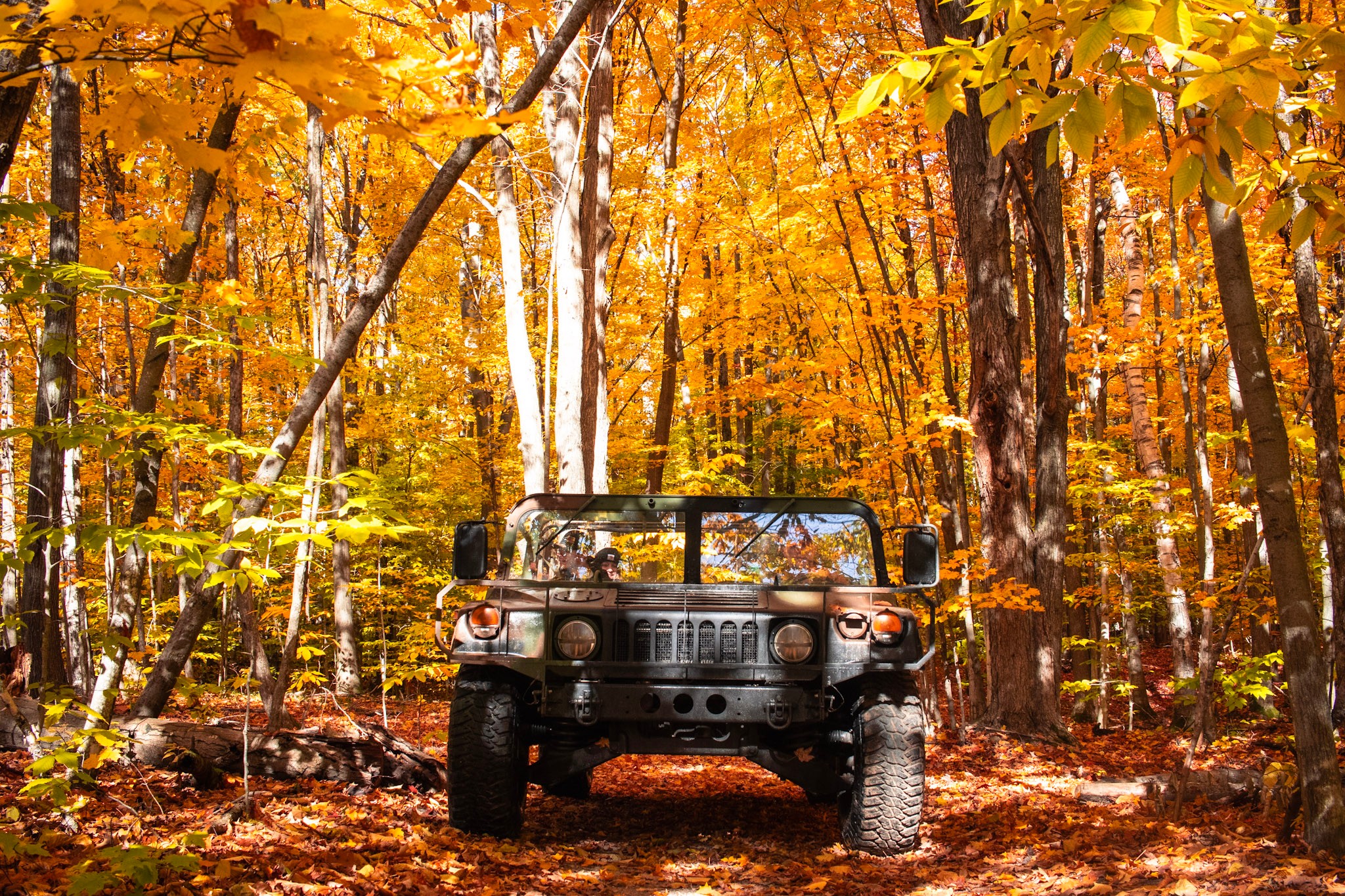 A black off-road vehicle parked in a forest with autumn-colored trees and fallen leaves.