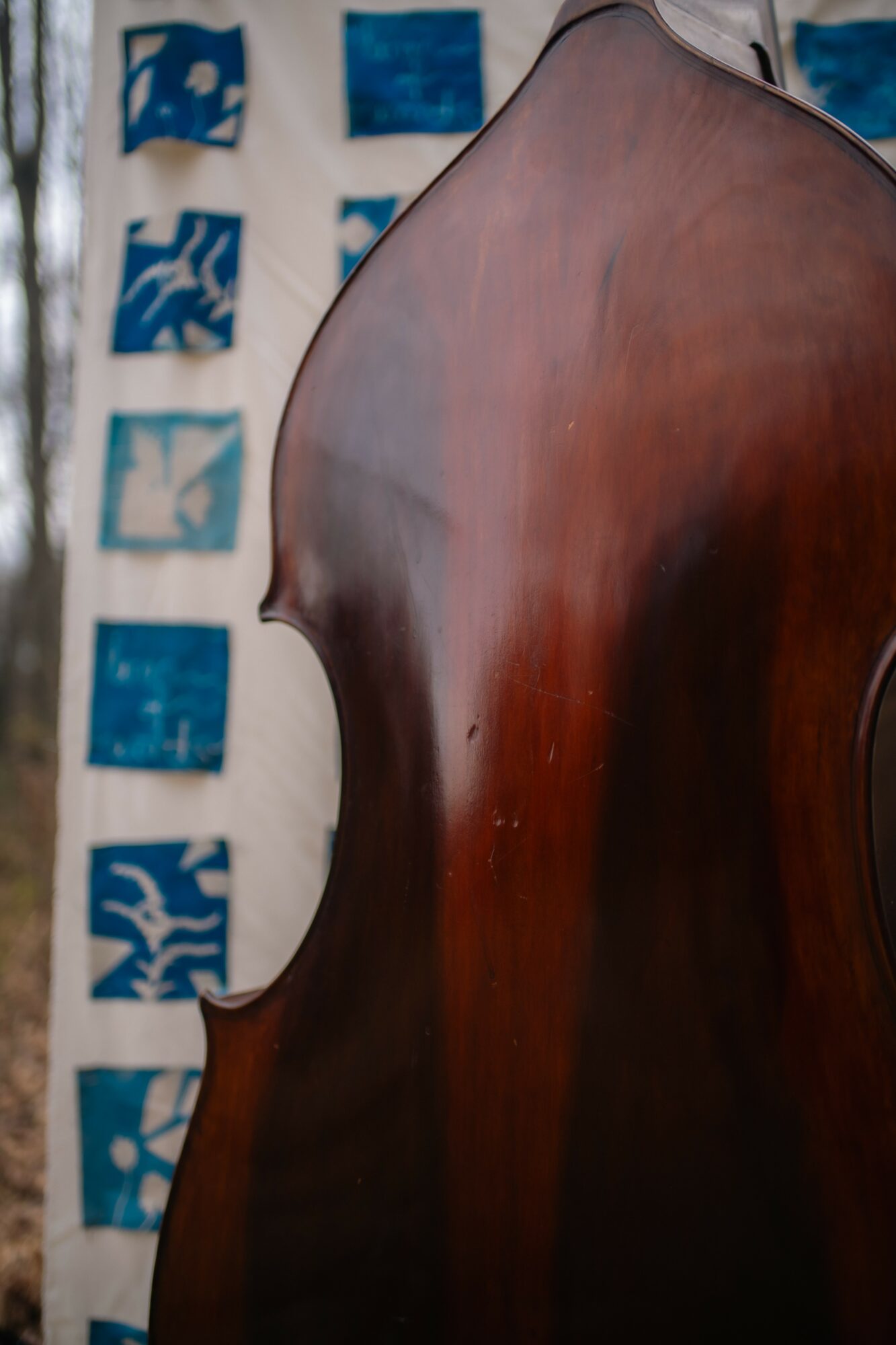 Close-up of a wooden musical instrument, possibly a double bass, with a background of blue and white patterned fabric.