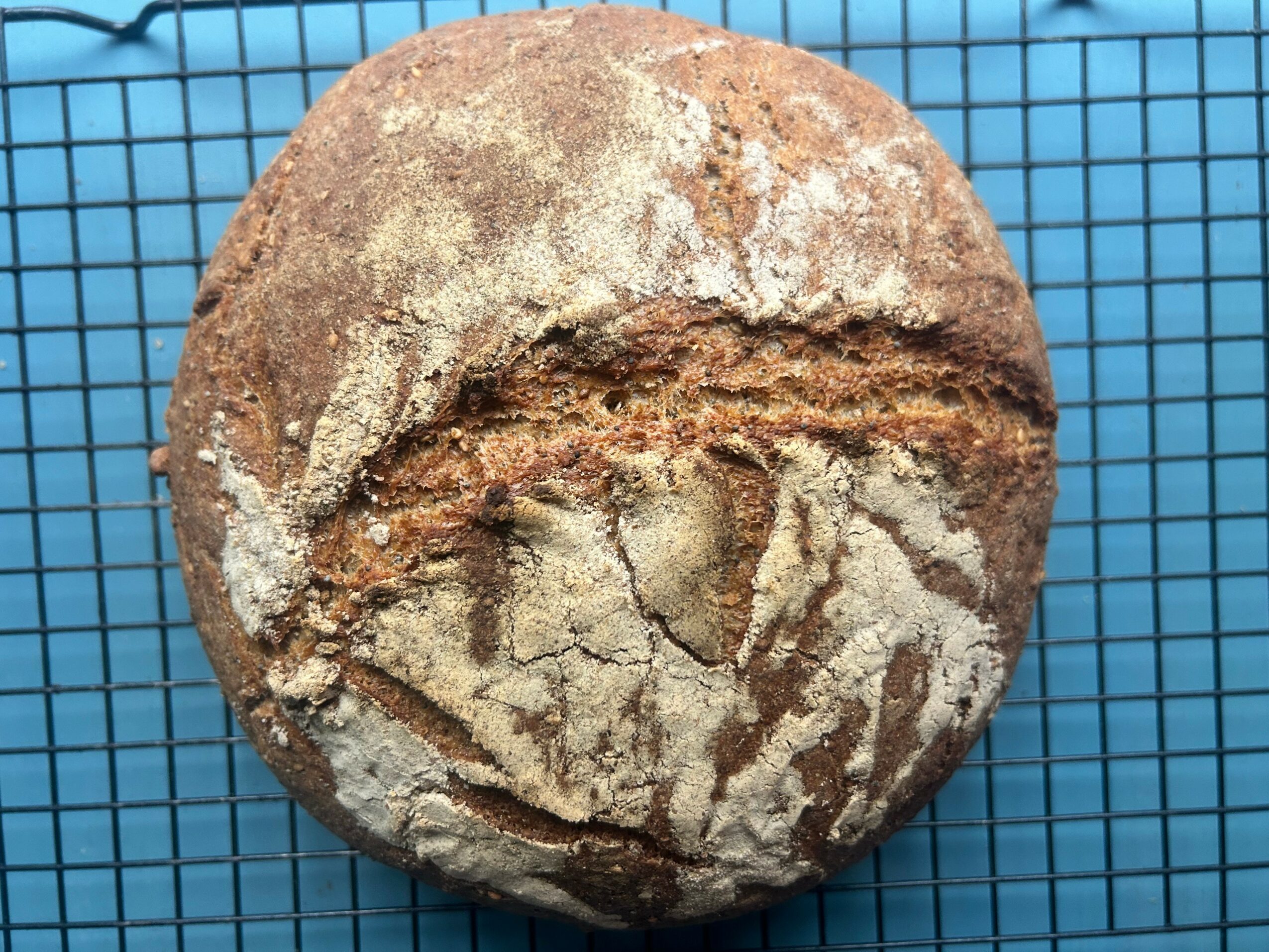 Round loaf of bread with a crusty surface on a blue wire rack.