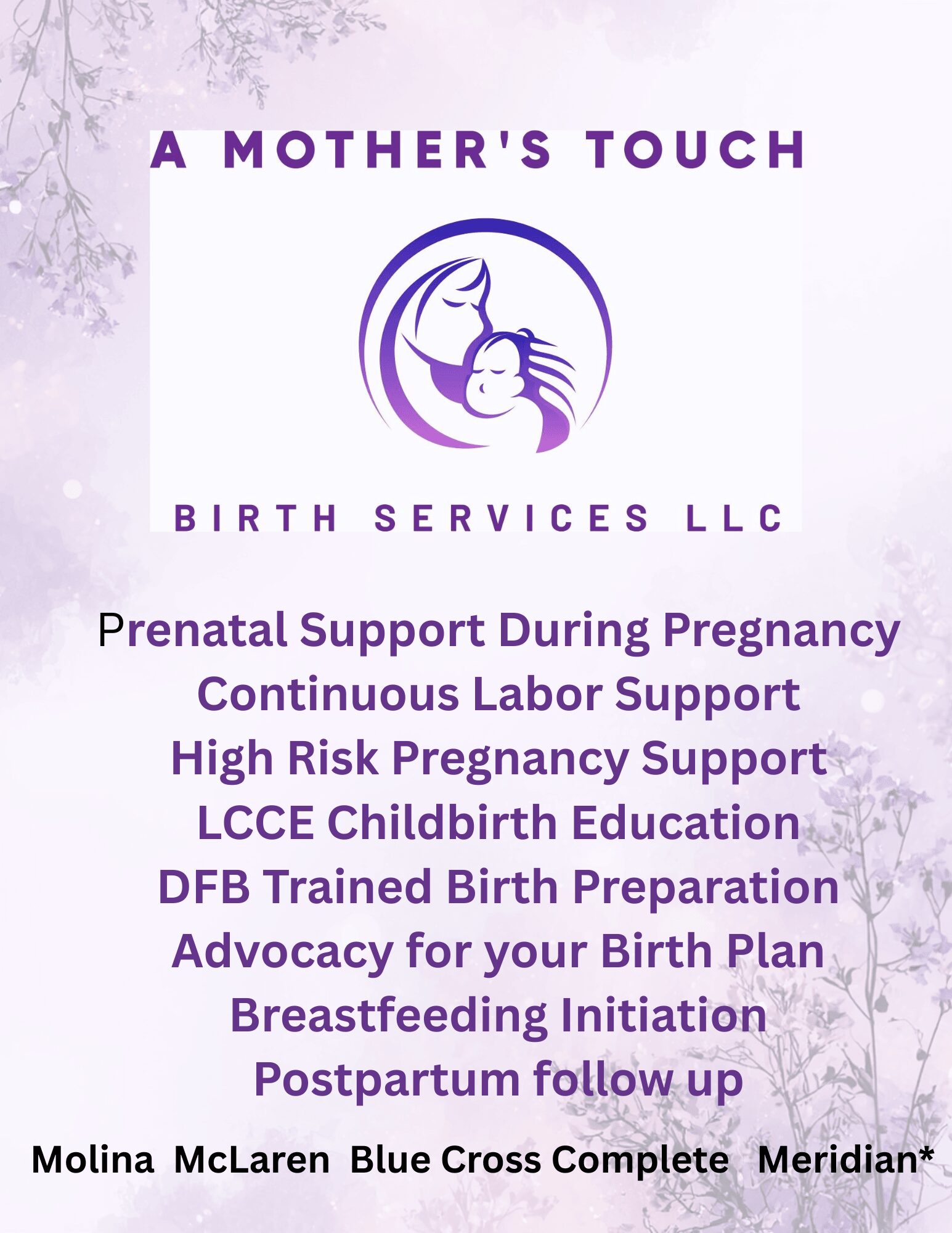 Text listing services offered by A Mother's Touch Birth Services LLC, including prenatal support, childbirth education, and postpartum follow-up.