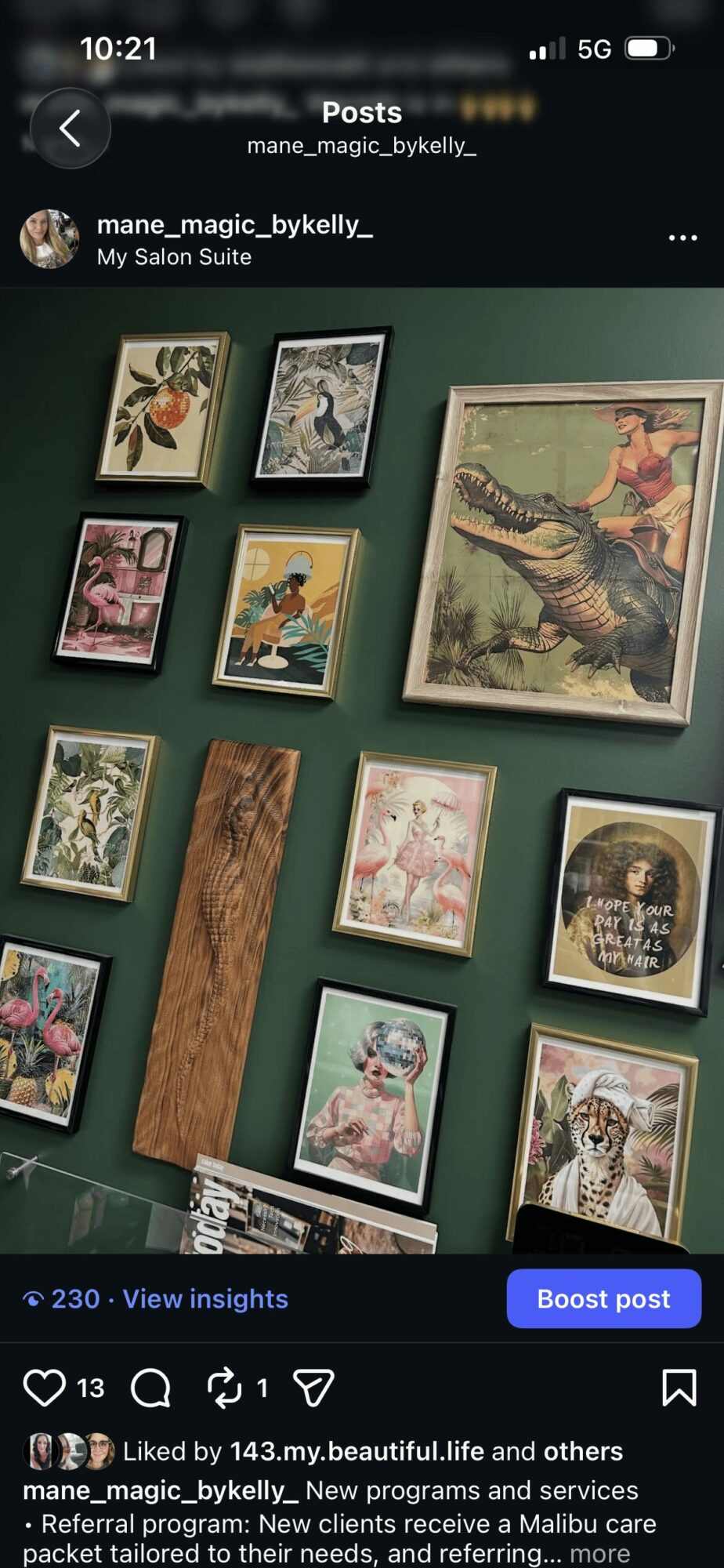 Wall with framed botanical and animal illustrations, some with colorful backgrounds, arranged in a grid pattern.