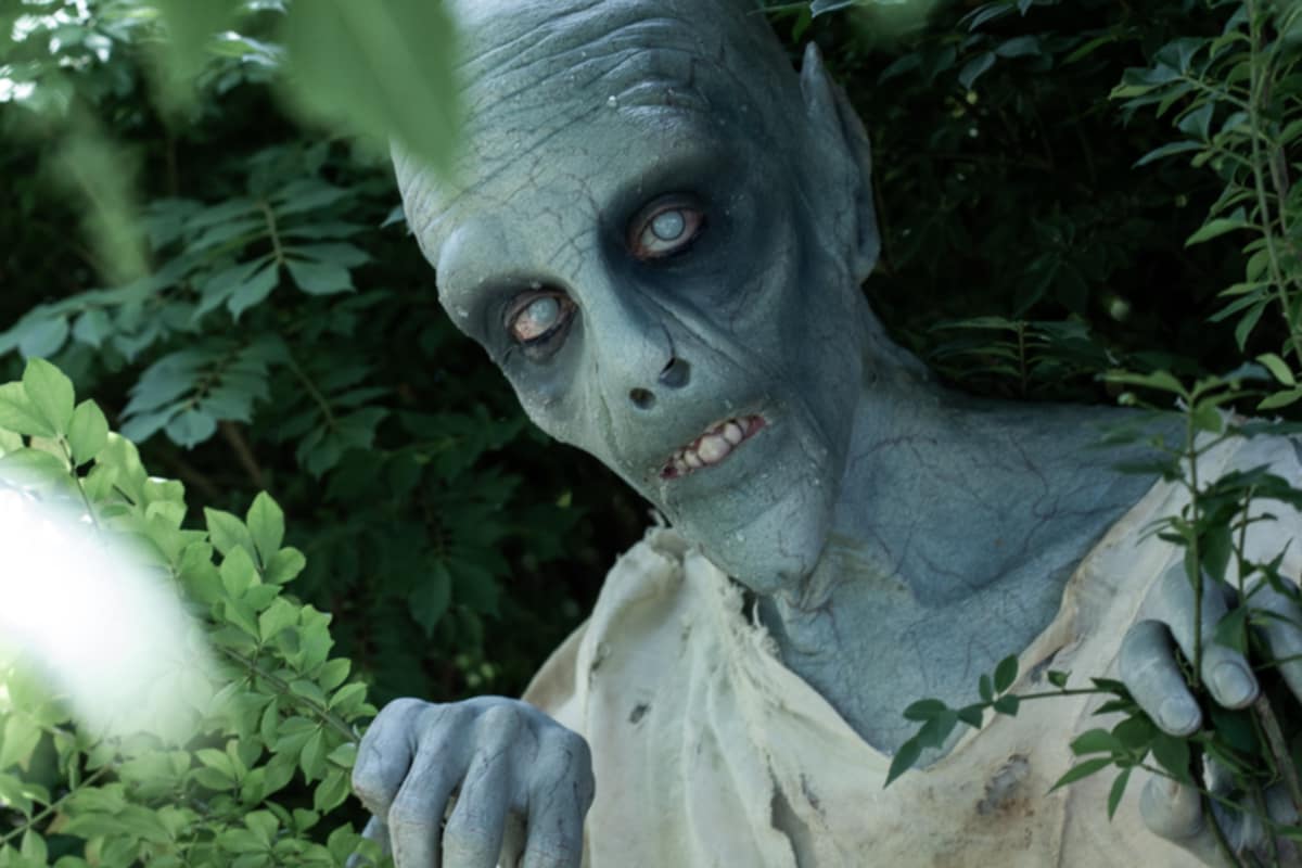 A creature with grayish-blue skin, large eyes, and sharp teeth peeks through green foliage.