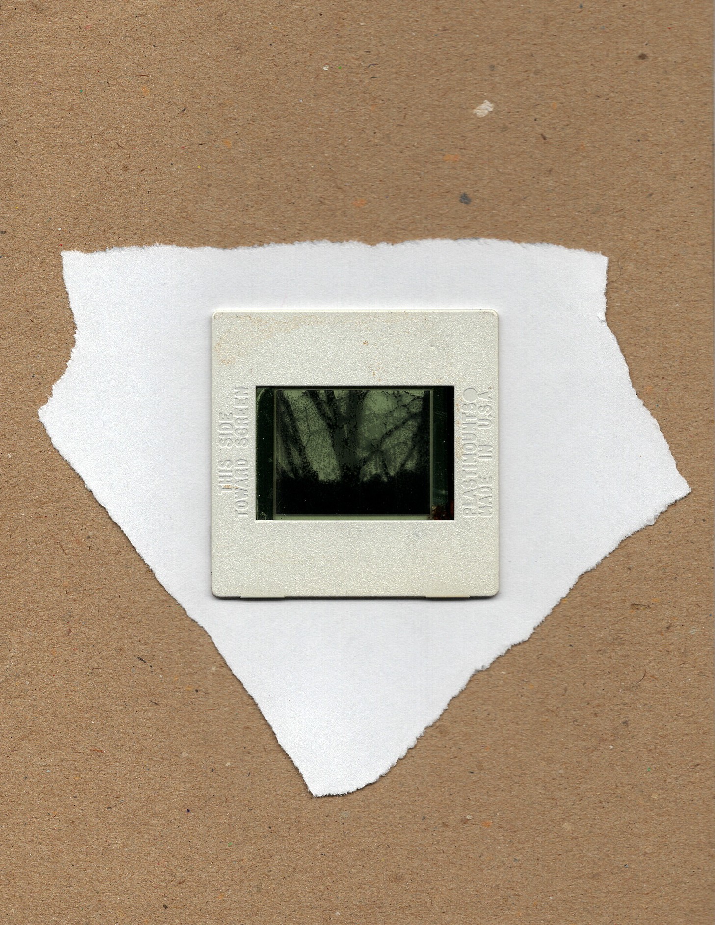 Polaroid camera placed on torn white paper on a brown surface, with trees reflected in the camera's lens.