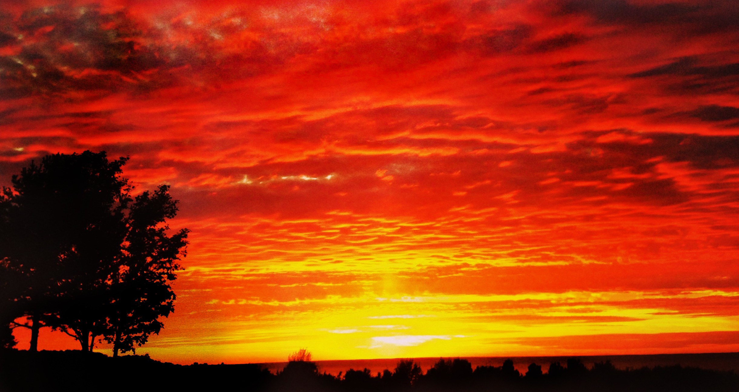 Sunset with vibrant orange and red sky, silhouetted trees on the left, and a dark horizon.