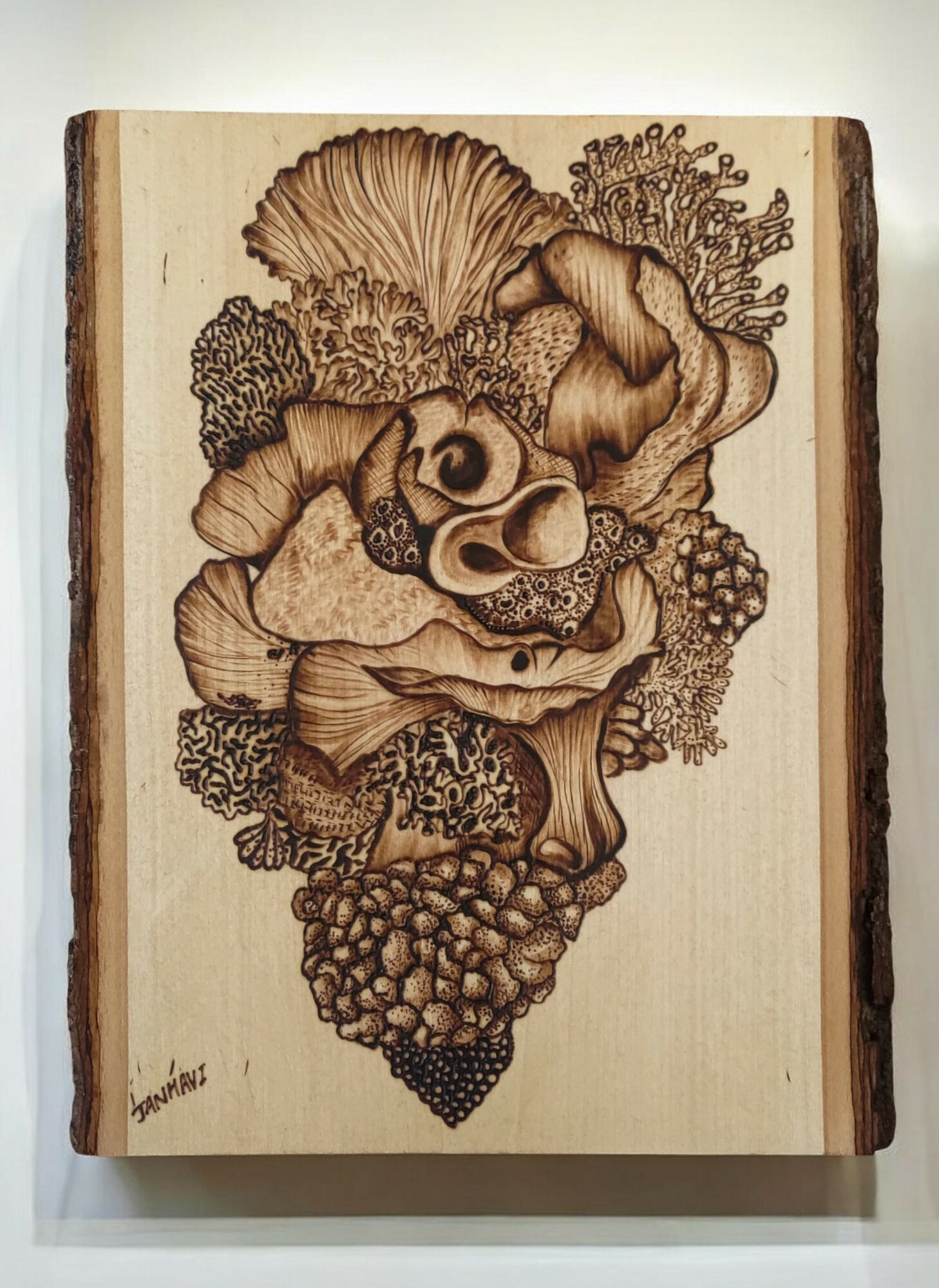 Wooden artwork depicting a pig's face surrounded by various mushrooms and fungi, detailed and carved in relief.
