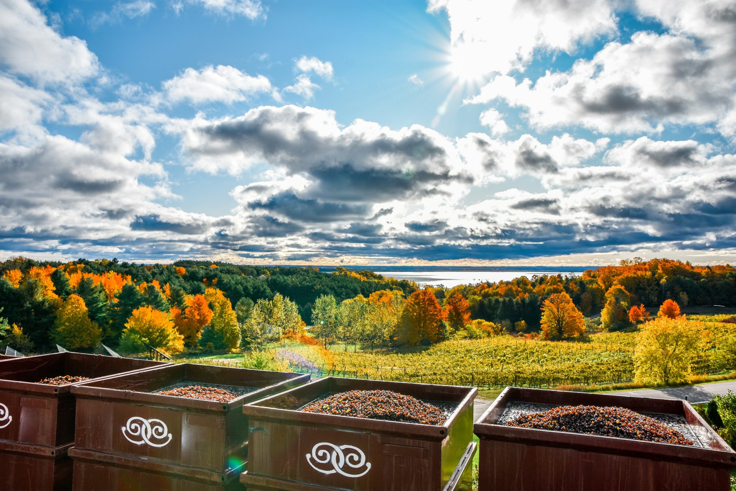 Landscape with a bright sky, clouds, and a field with trees showing fall colors, viewed from a balcony with planters.
