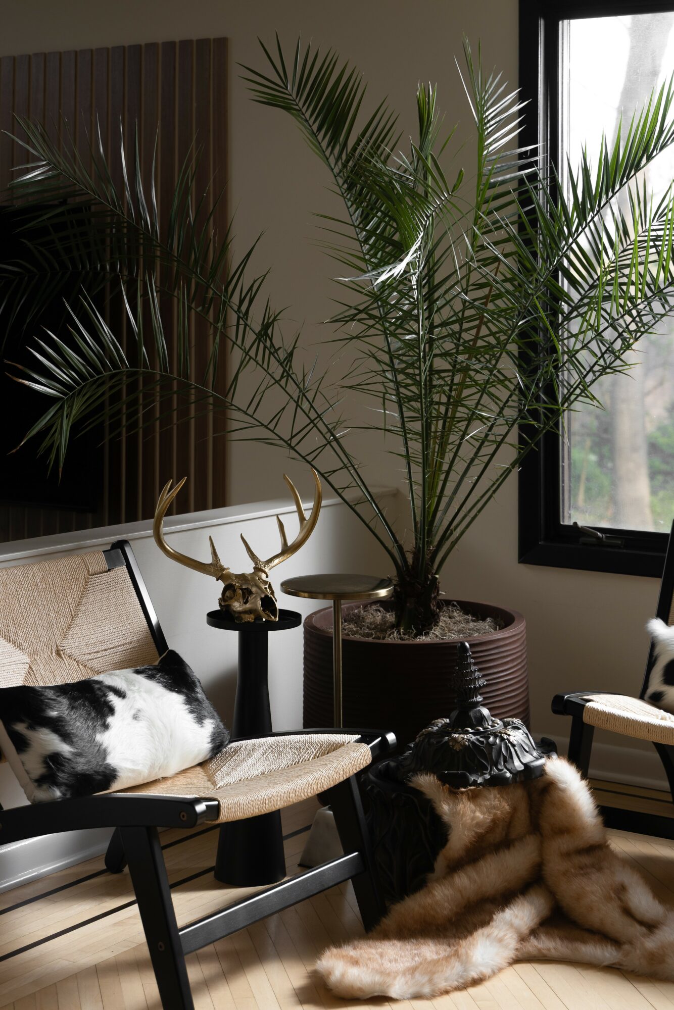 Indoor scene with a large potted plant, a window, a chair with a fur blanket, and decorative items, natural light coming in.