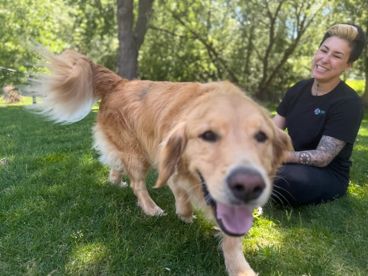 Person sitting on grass smiling with a golden retriever dog outdoors on a sunny day.