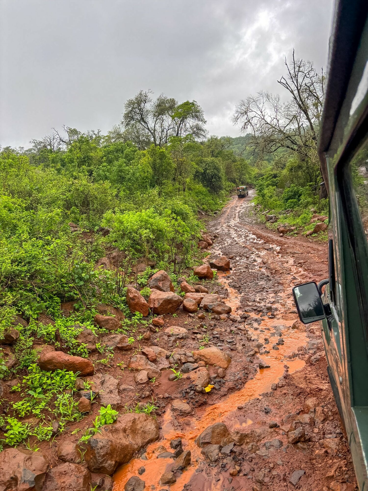 Rough dirt road with rocks and muddy patches, surrounded by green bushes and trees, under cloudy sky, viewed from vehicle window.