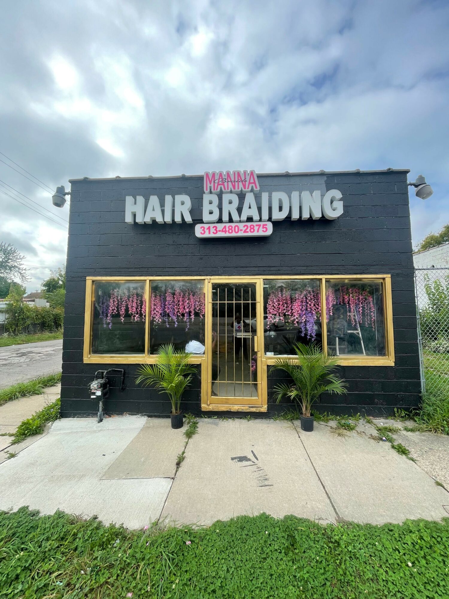 Storefront with black exterior, pink and white sign, yellow-framed windows, and plants outside, viewed from the sidewalk.