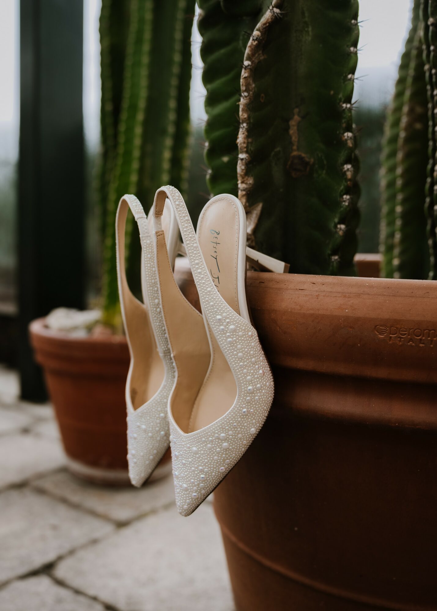 White high-heeled shoes with glitter, hanging on a plant pot, with cactus plants in the background.
