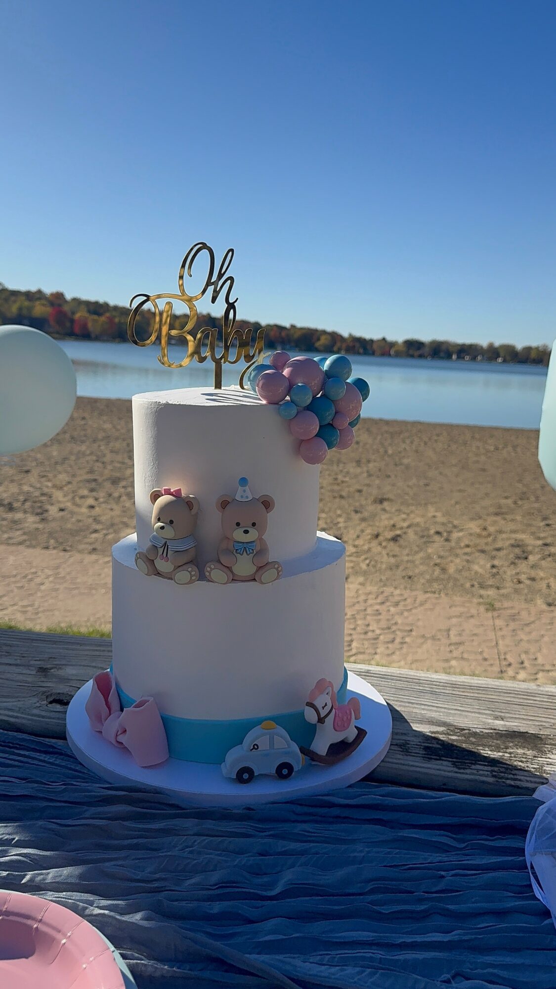 Two-tiered cake decorated with plush toys, balloons, and a gold topper, set outdoors near a lake with a sandy beach.