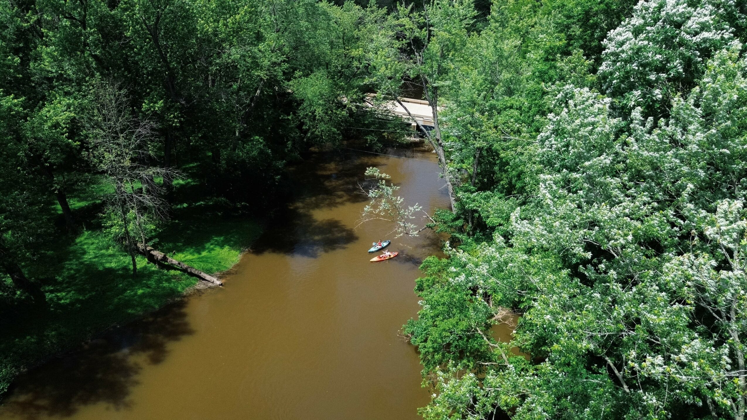 A river flowing through a lush green forest with trees on both sides, some with white flowers, and a small bridge in the background.