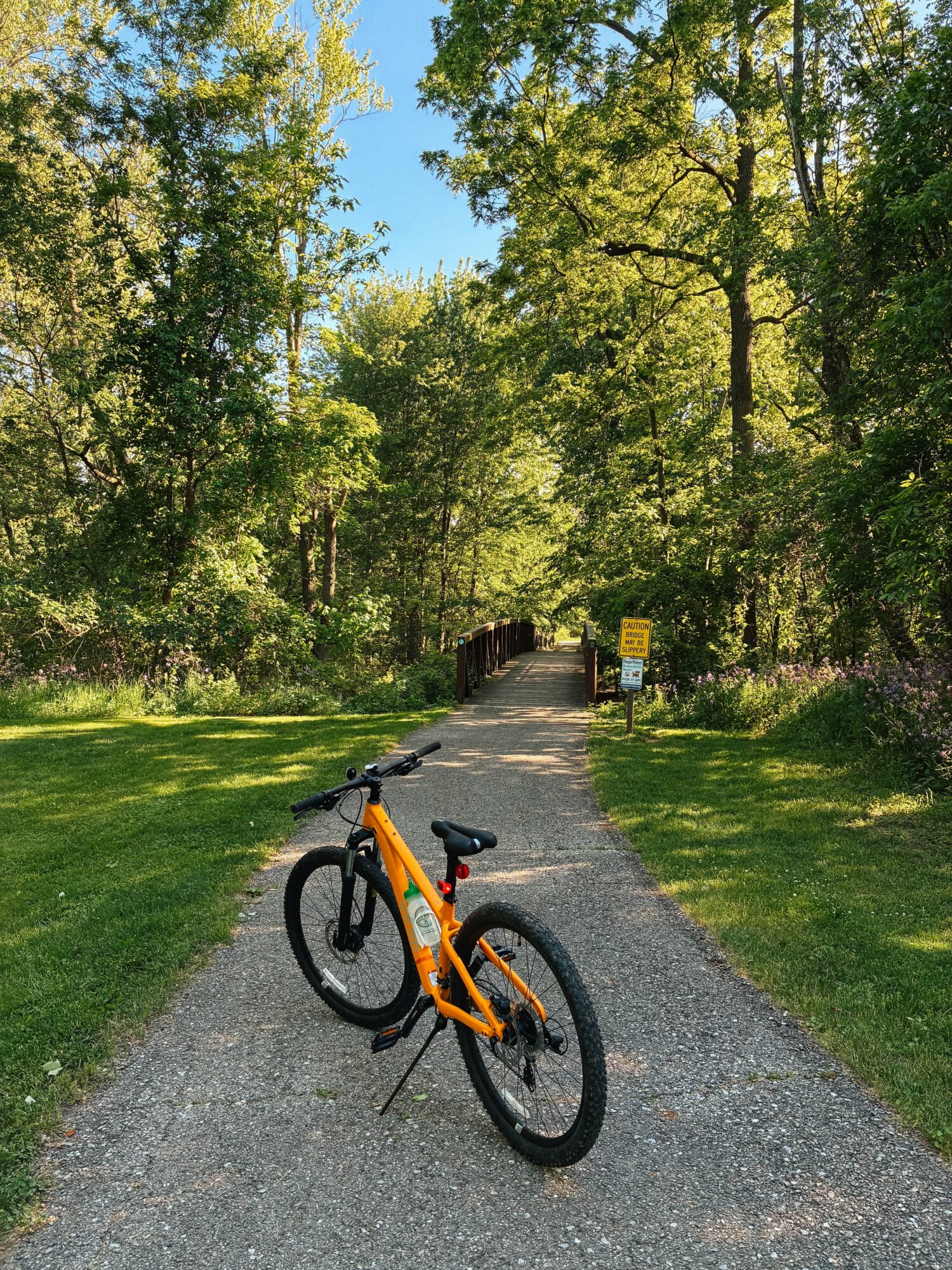Orange bicycle on a gravel path surrounded by green trees and grass, with a blue sky overhead.