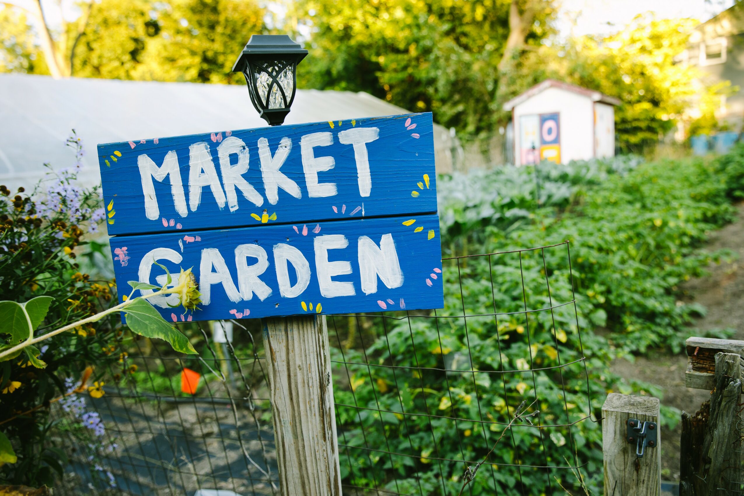 Blue sign with white text reading 'Market Garden' in a garden setting with greenery and a small shed in the background.