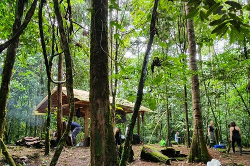 People gather around a small wooden shelter in a lush green forest, surrounded by tall trees and dense foliage.