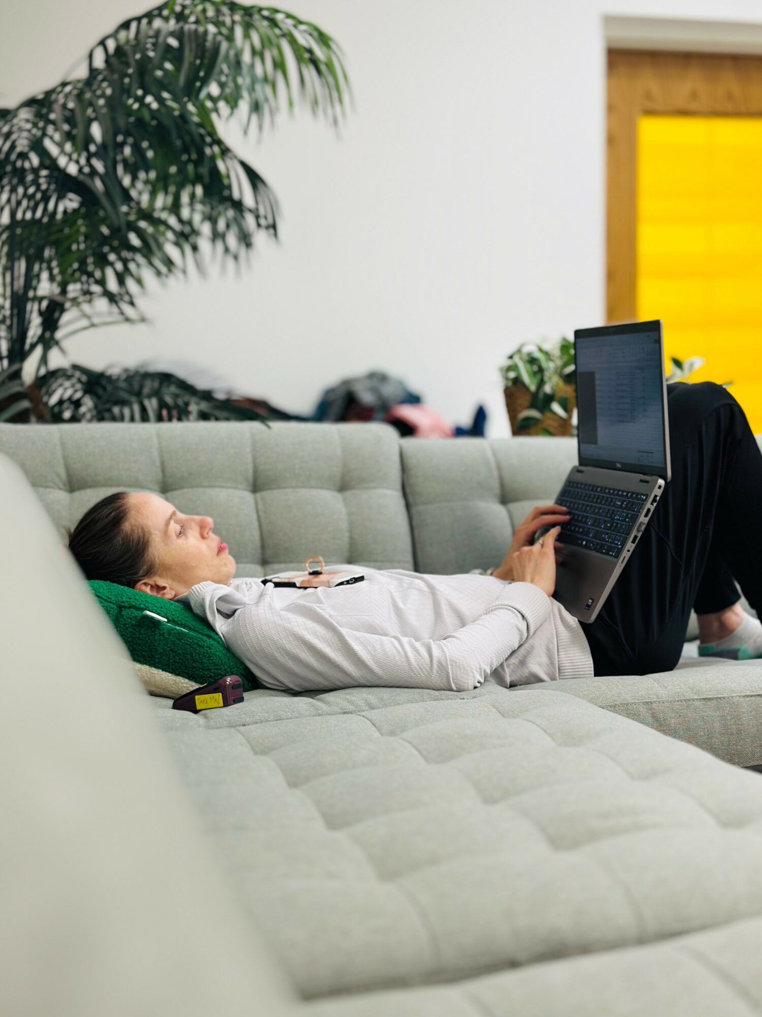 Person lying on a sofa using a laptop, with a plant and yellow window in background.