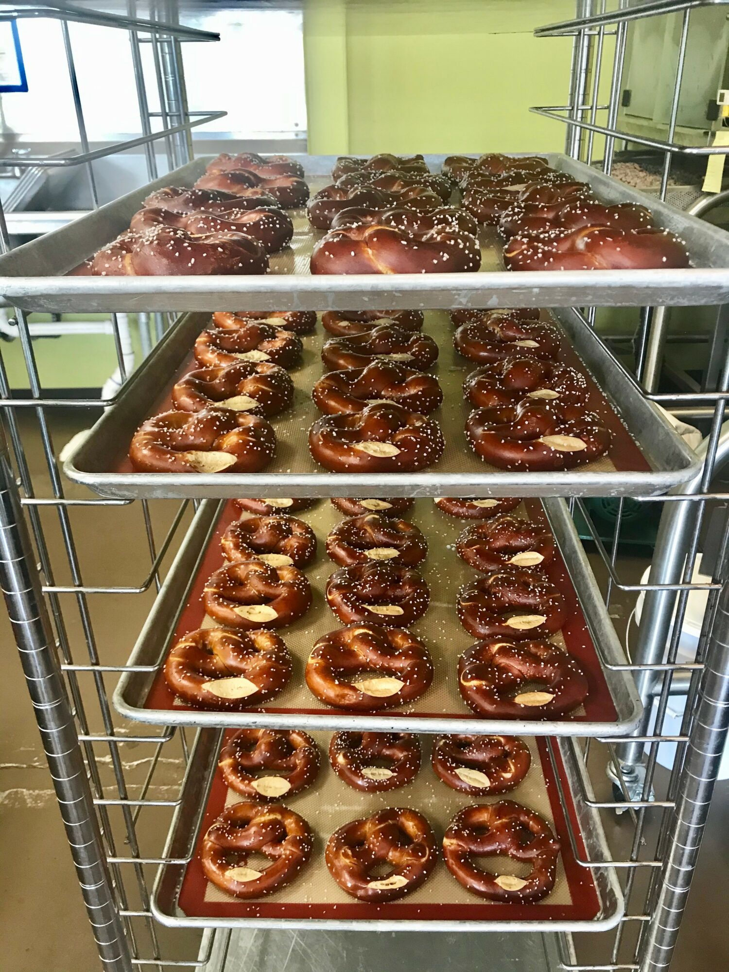 Multiple trays of baked pretzels on a metal rack, with a green wall and windows in the background.