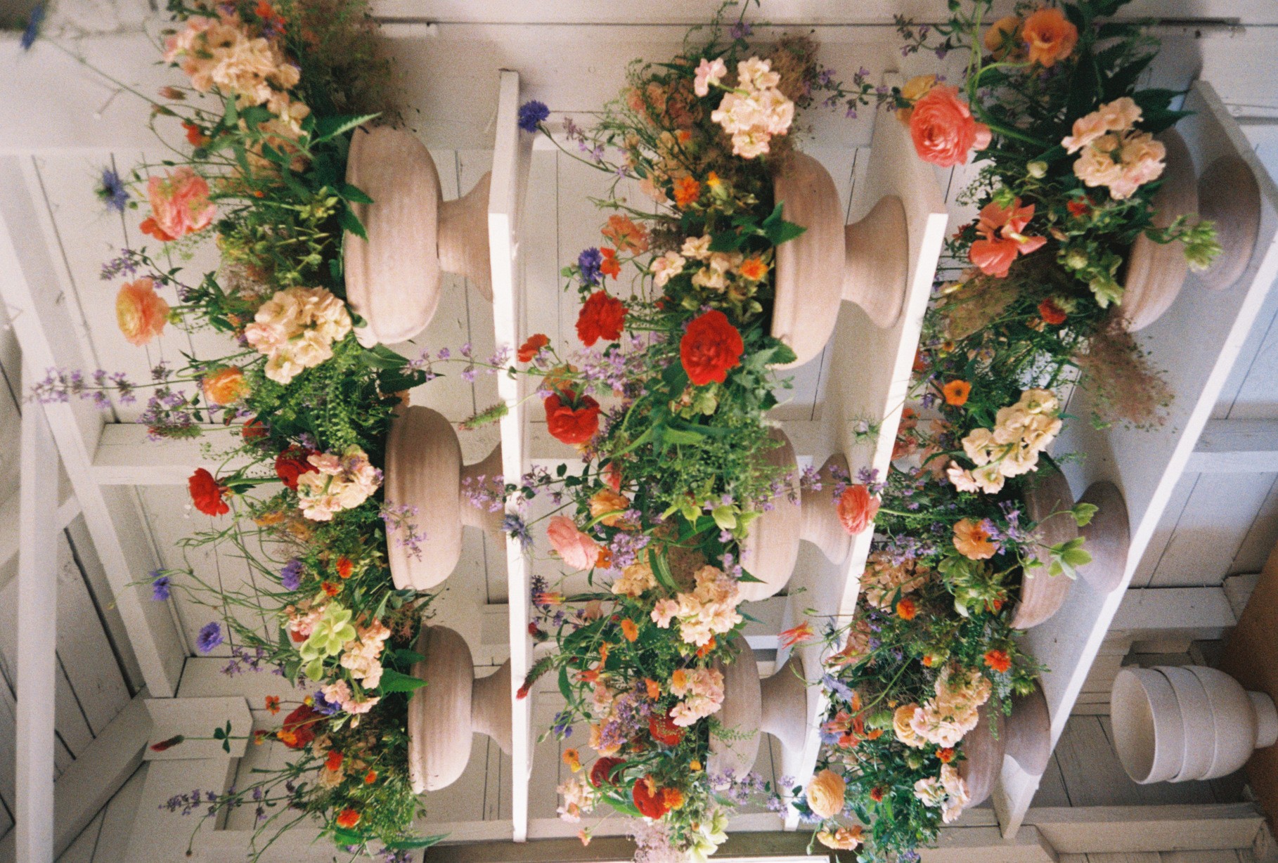Vertical display of colorful flowers in pots on white shelves, viewed from below, with a window in the background.