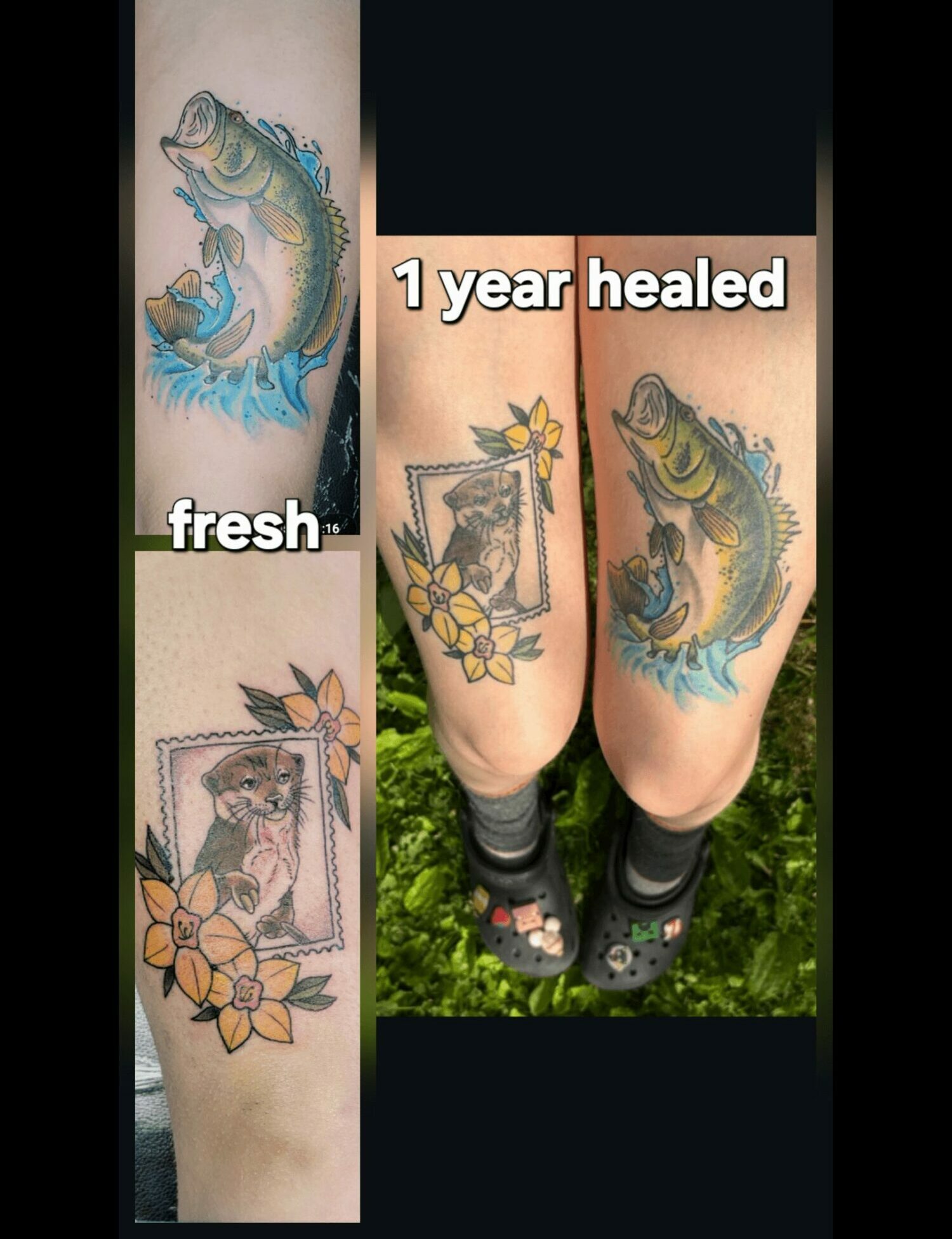Tattoo of a fish with water, a framed dog with flowers, and a fish with flowers, showing healing progress.