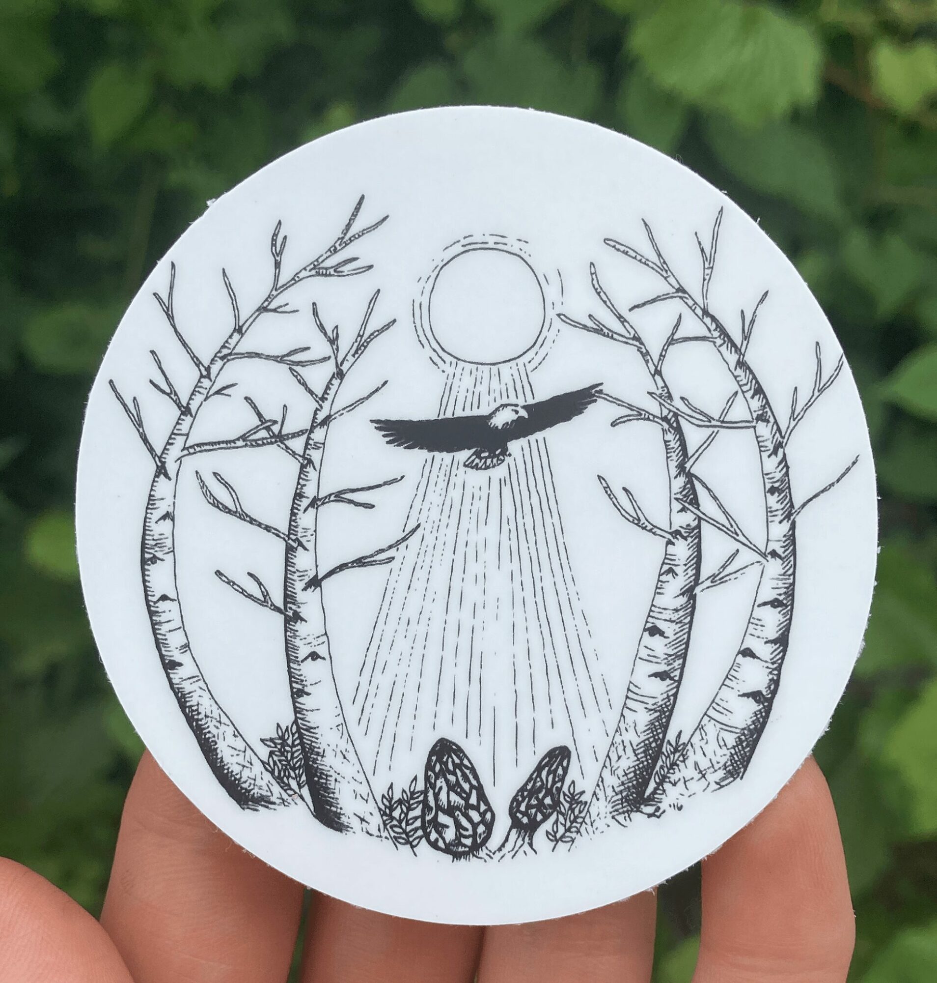 Black and white drawing of a bird flying above trees with a sun and rays, two pinecones on ground, in a forest scene.