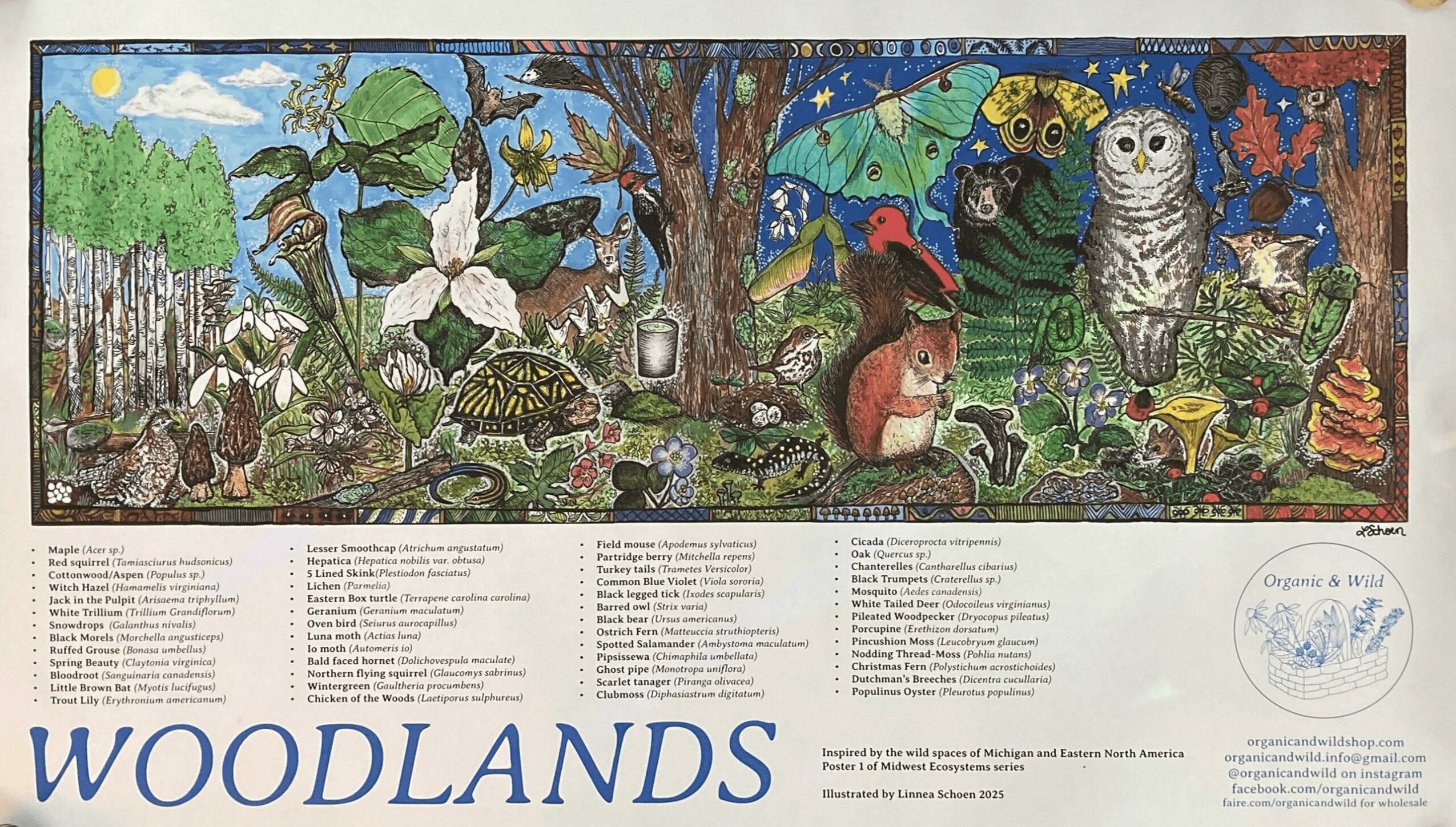Colorful woodland scene with animals, trees, and plants, featuring an owl, squirrel, and other forest creatures, with a blue sky.