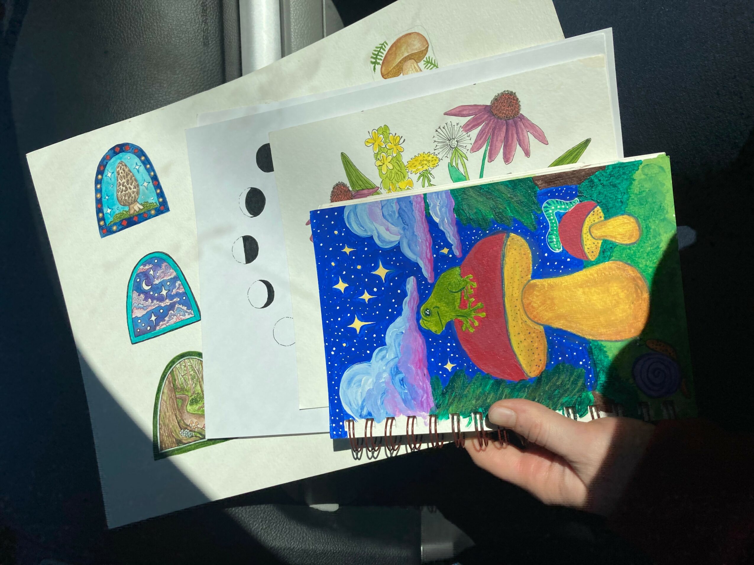 Person holding colorful illustrated cards with nature and fantasy themes, sunlight casting shadows, on a dark surface.