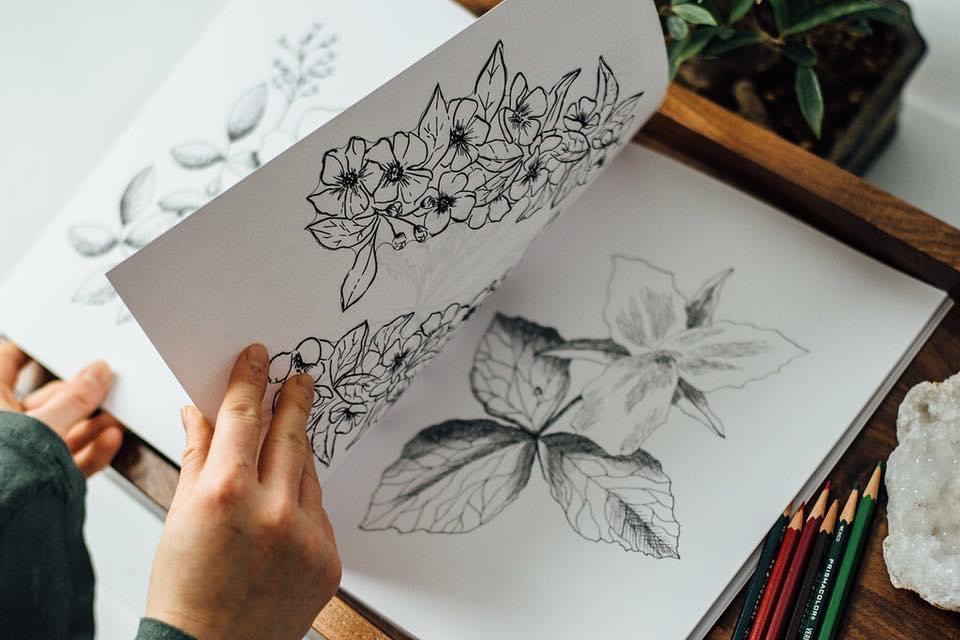 Person flipping through a sketchbook with botanical drawings of flowers and leaves, surrounded by colored pencils and a plant.