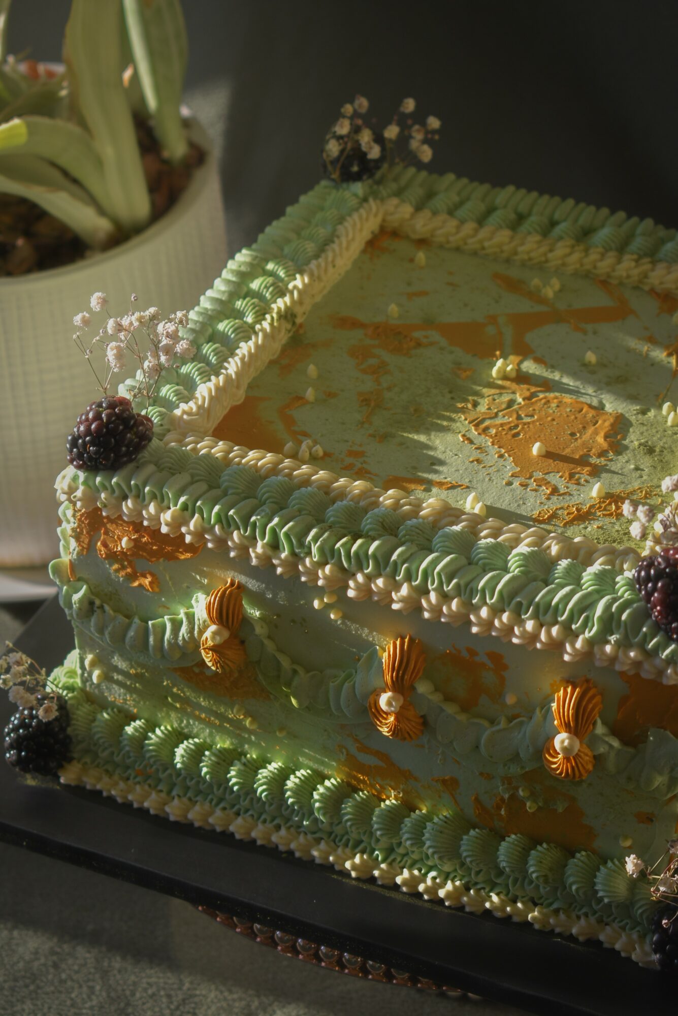 Decorated rectangular cake with green and white icing, gold accents, and blackberries, on a dark surface with a plant in the background.
