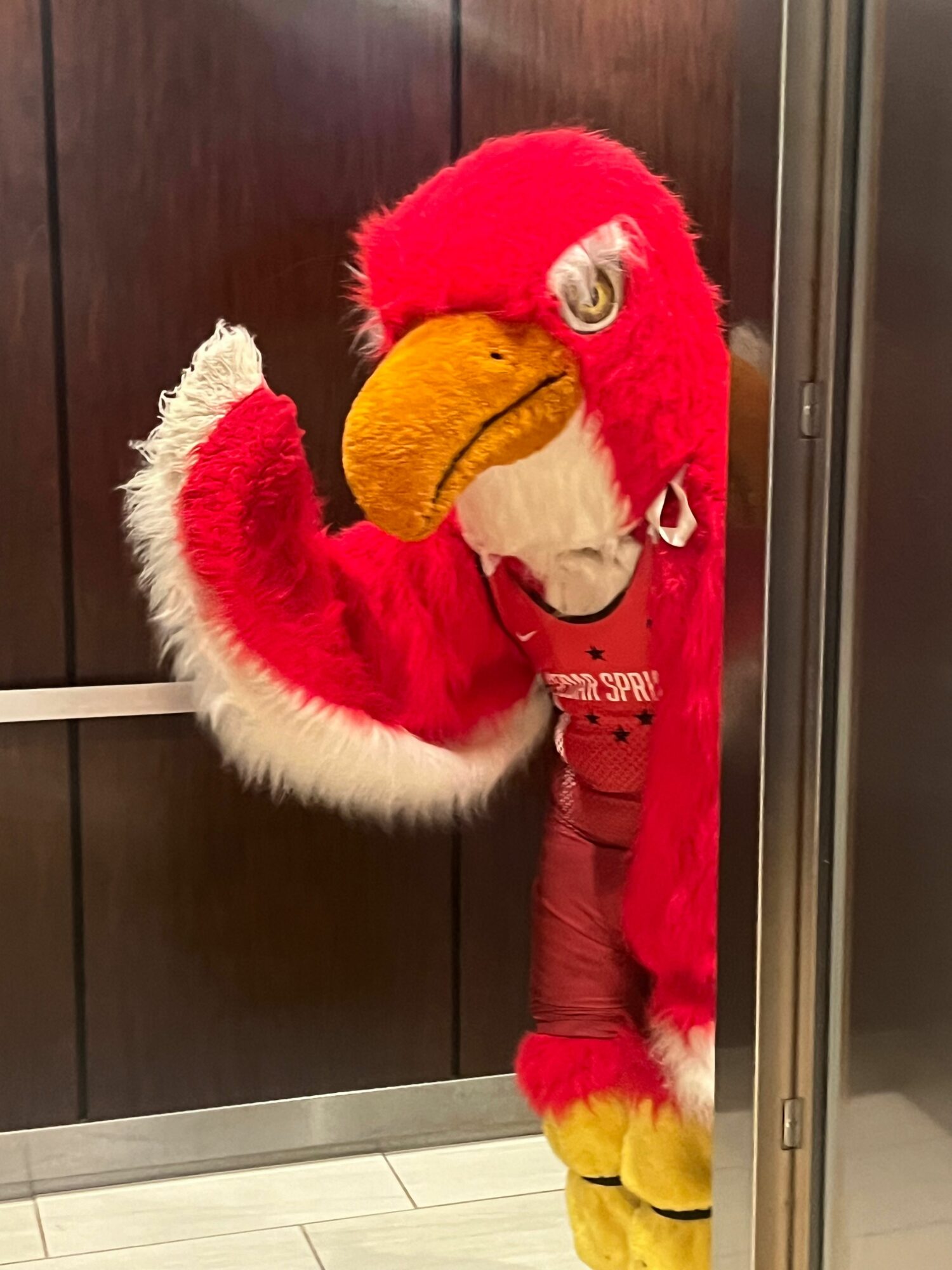 Person in a red and yellow dog costume standing sideways, facing left, indoors with wooden and tiled floors.