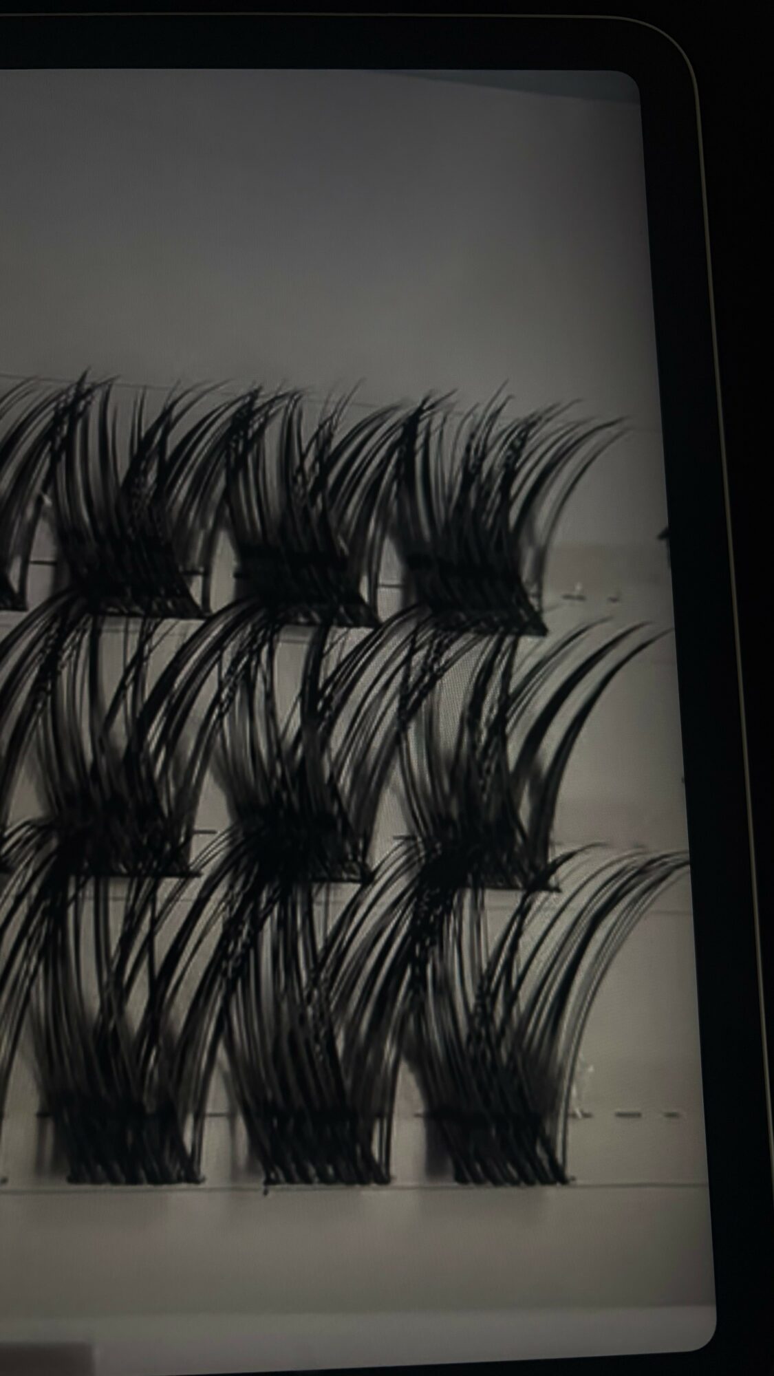 Six pairs of false eyelashes arranged on a white surface, viewed from above.
