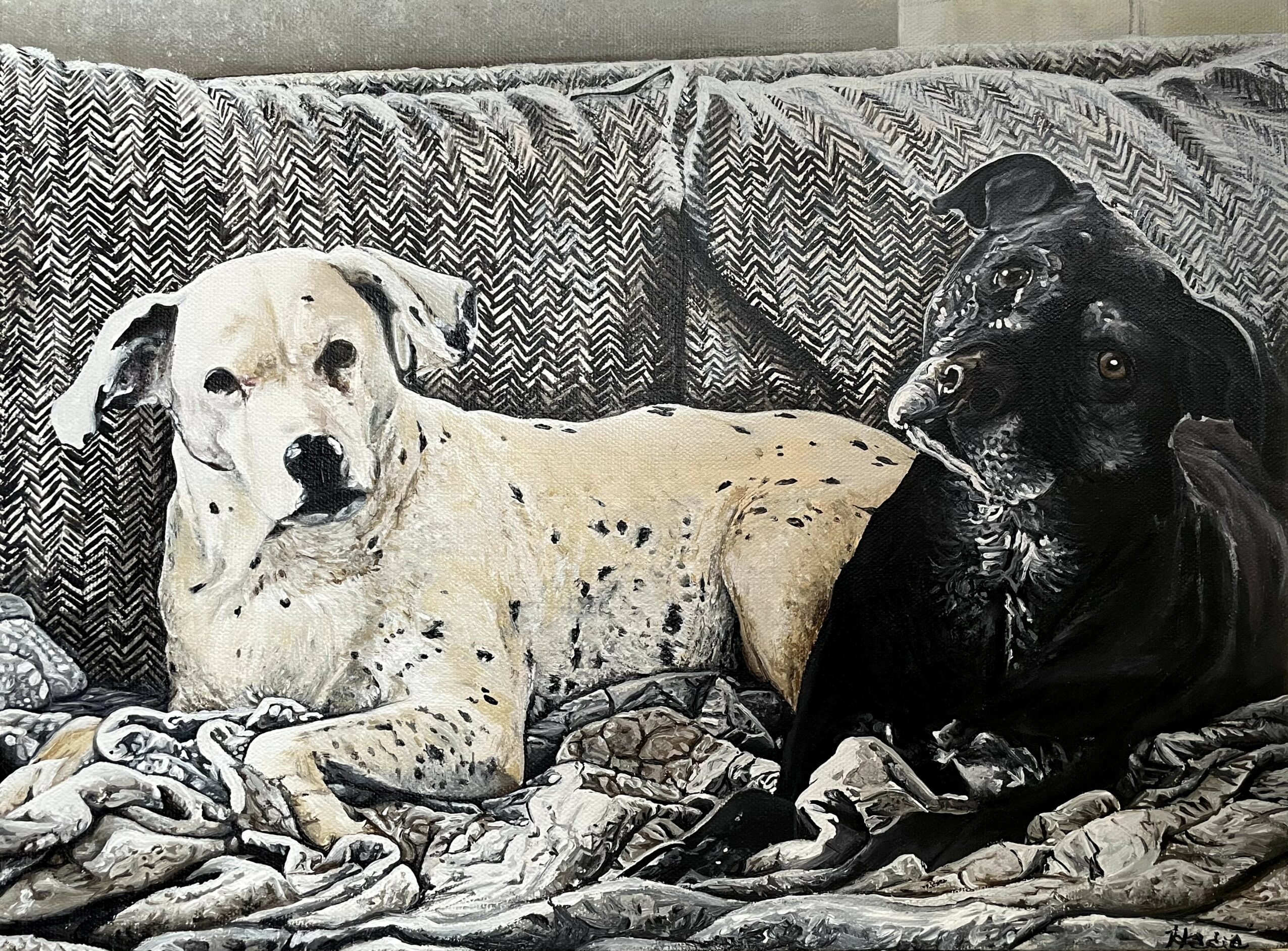 Two dogs lying on a patterned couch, one light-colored with spots and the other dark-colored, looking at the camera.