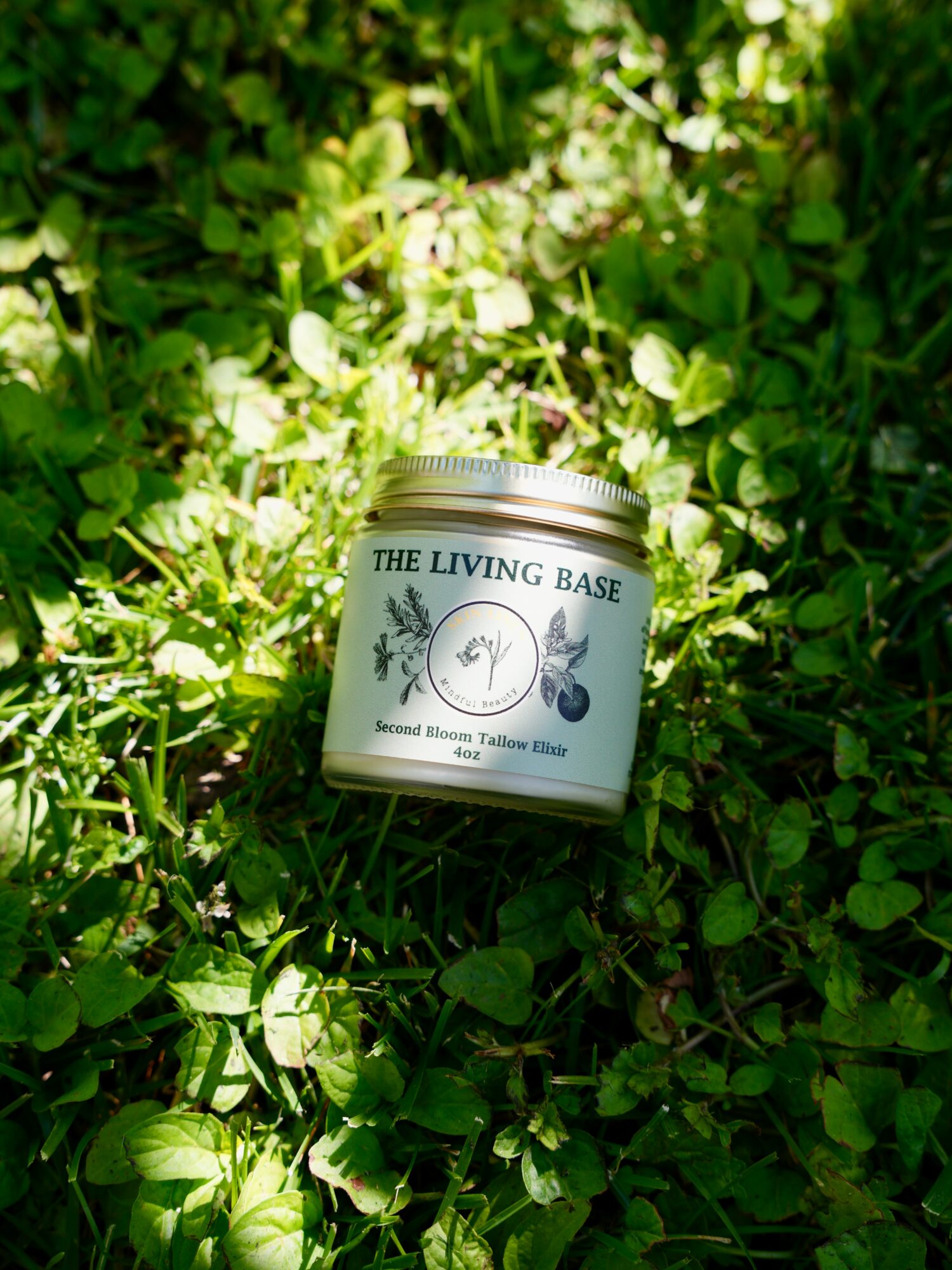 A white jar labeled 'The Living Base' rests on green grass and plants, with sunlight filtering through leaves.