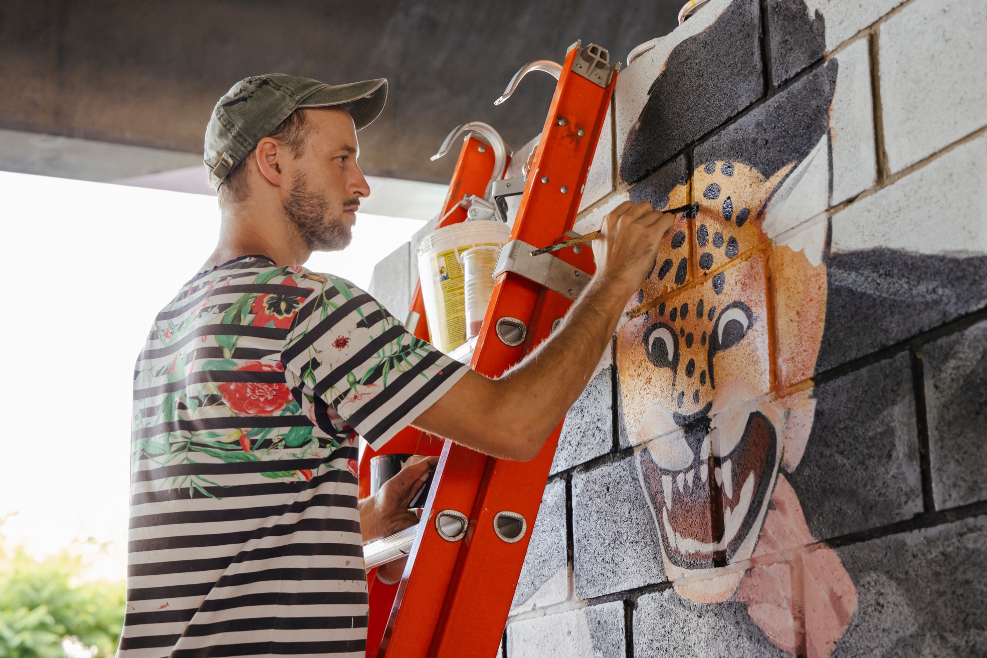 Man spray-painting a leopard face on a brick wall outdoors, standing on an orange ladder, wearing a striped shirt and cap.