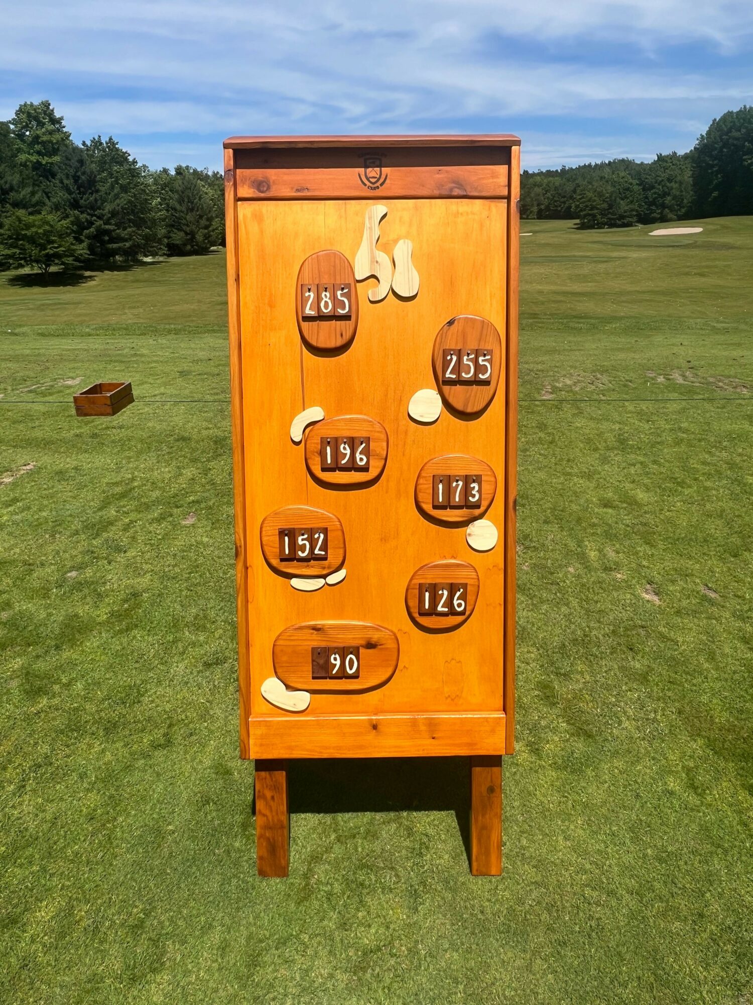 Wooden board with numbered circular cutouts and white duck shapes on a grassy field.