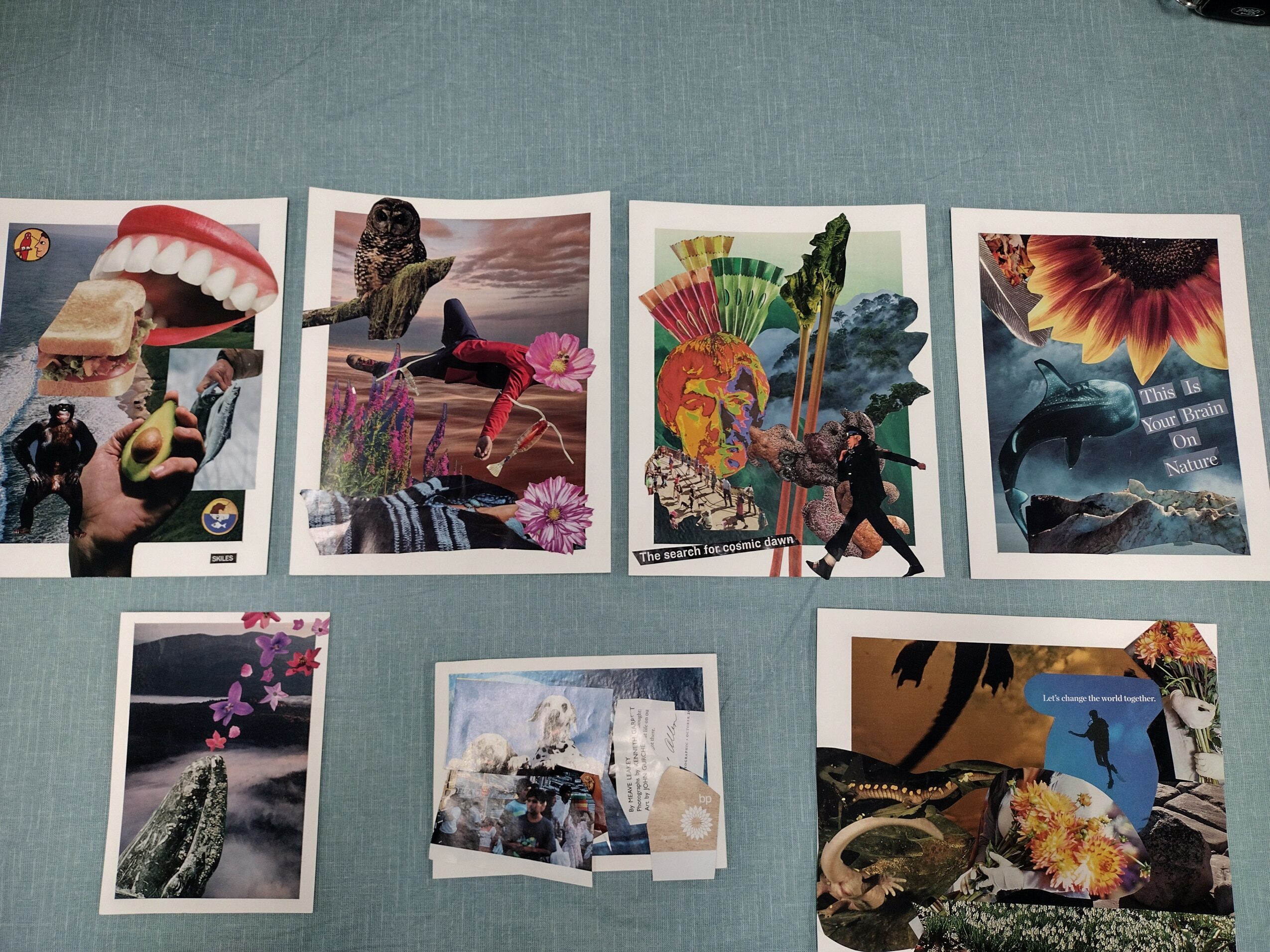 Five colorful postcards with various images, including animals, landscapes, and abstract art, laid out on a blue surface.