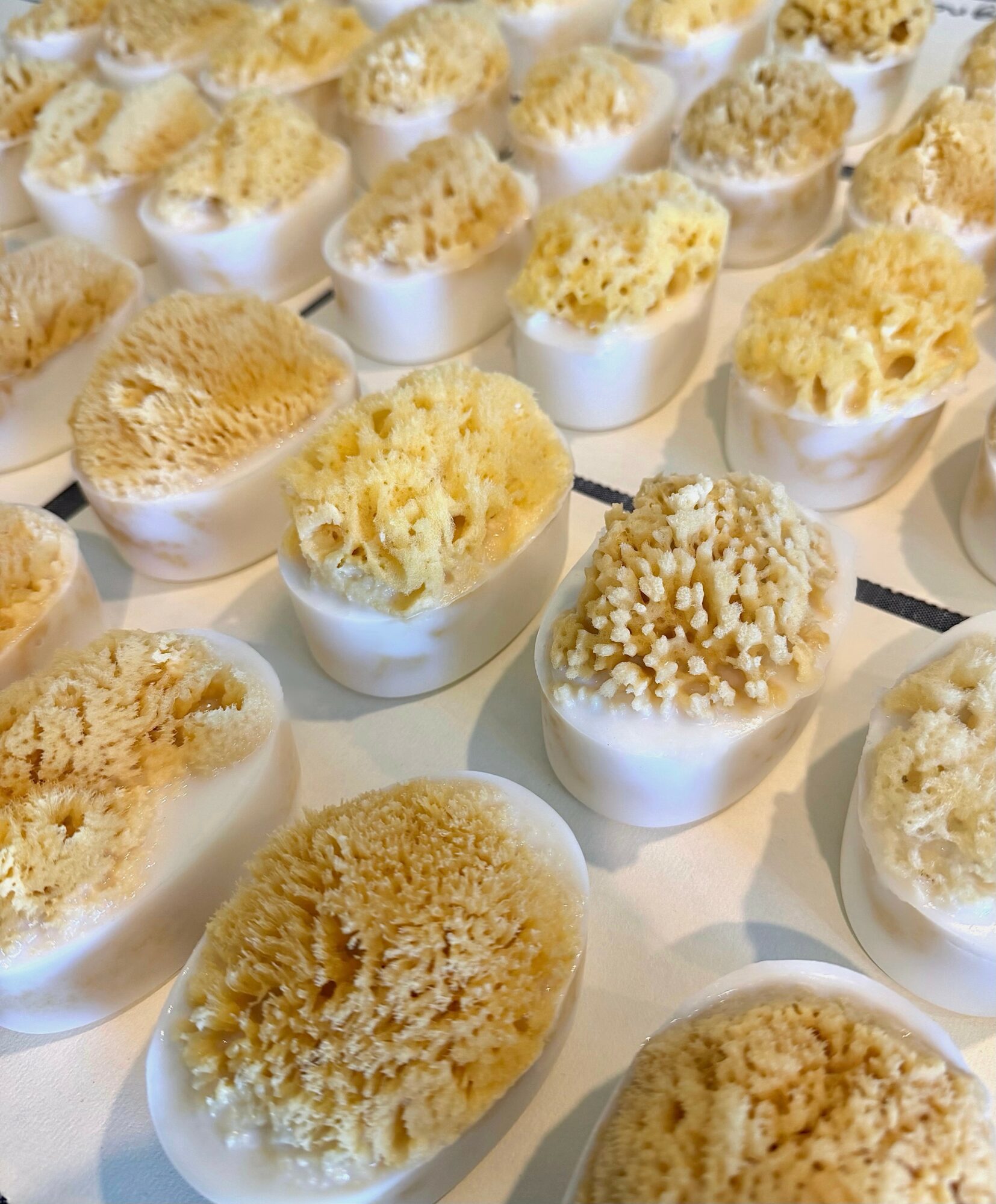 Multiple white cups filled with yellow sponge-like food topped with crumbs, arranged on a white surface.