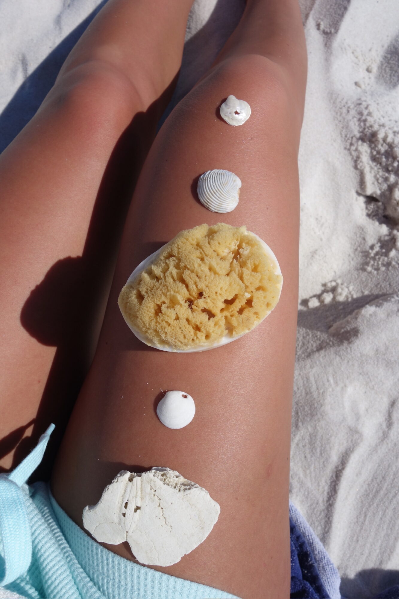 Person's leg with a large seashell and four smaller shells on skin, on sandy beach, sunny day.
