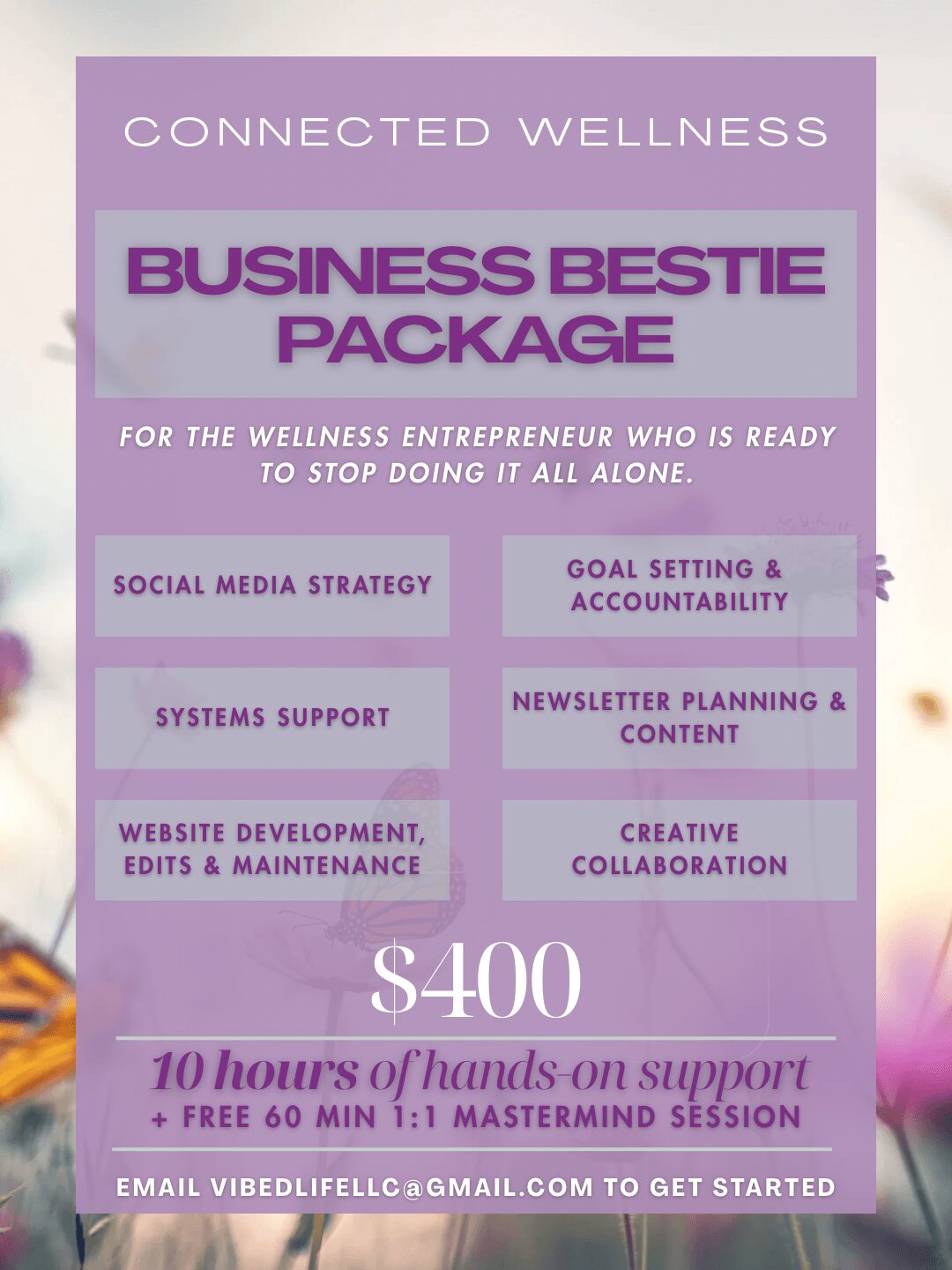 Purple and gray flyer promoting a wellness business package, including services and pricing details.