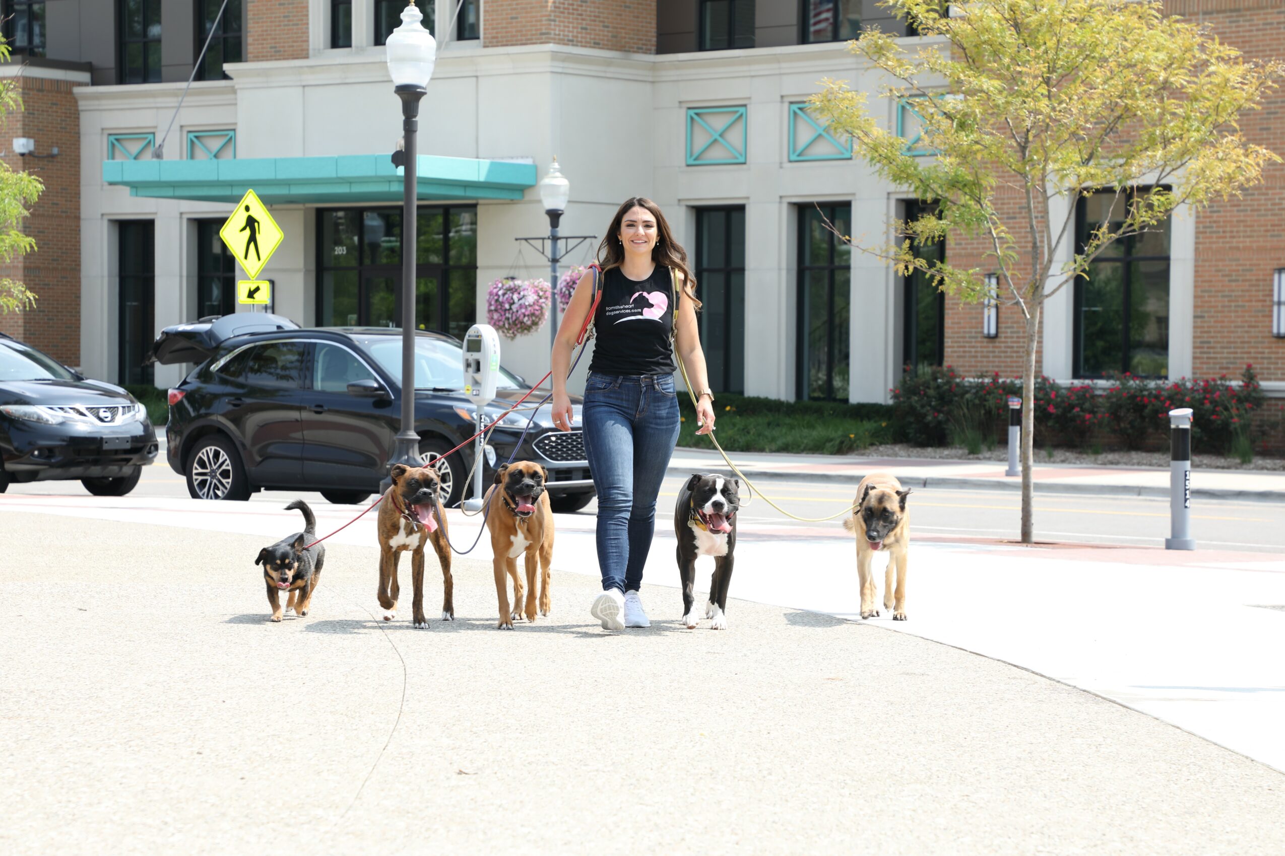 Woman walking five dogs on leash in urban area with buildings, trees, and parked cars.